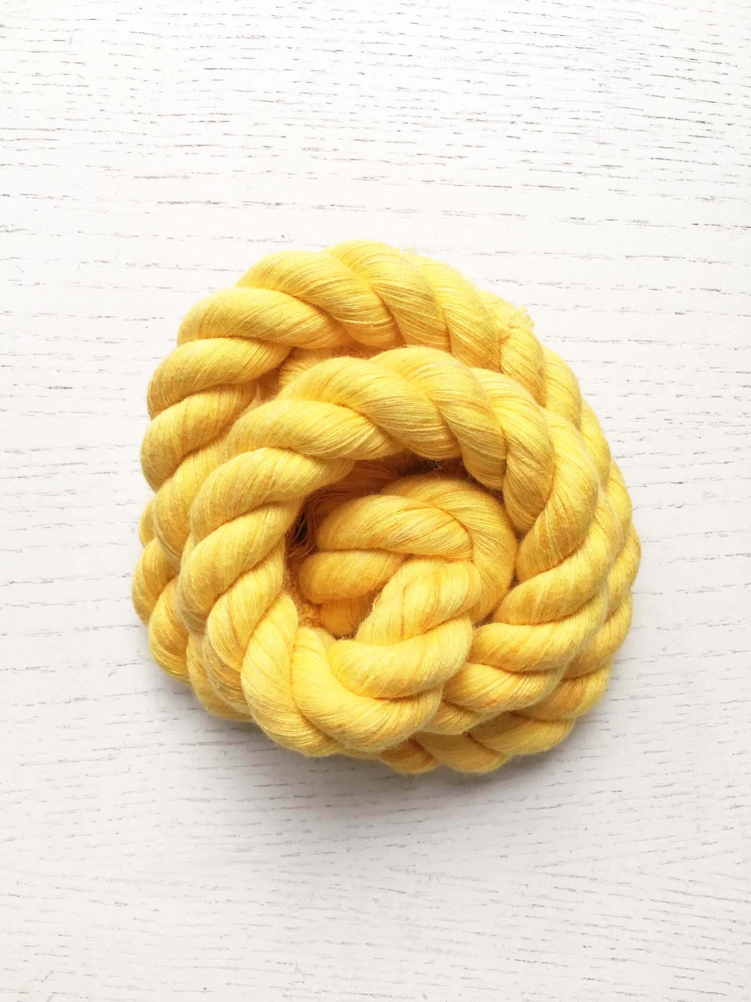 yellow rope.jpg