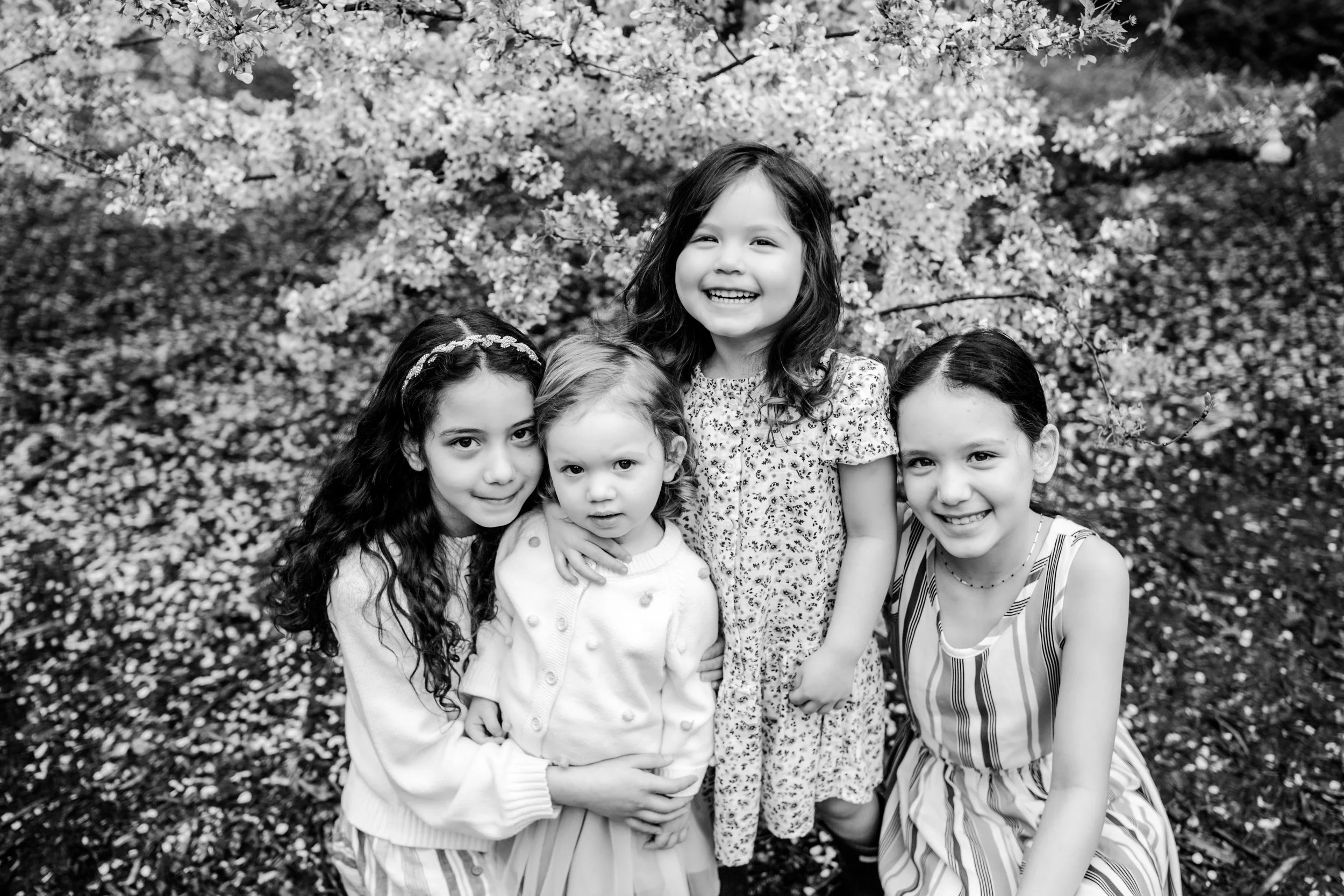 sisters hug under a cherry blossom for a family picture