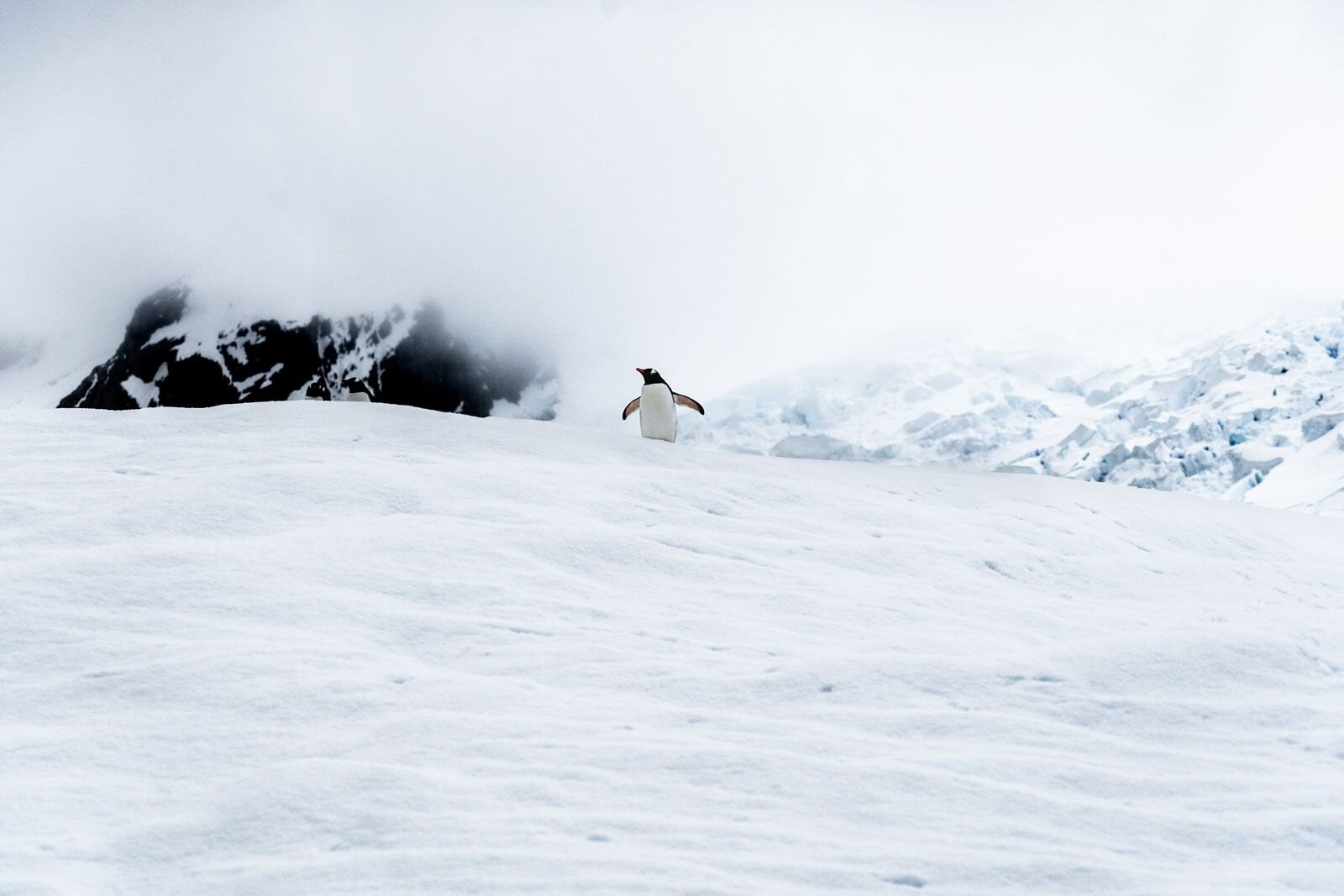 james-eades-WKp-NWSGWjQ-unsplash-compressor.jpg