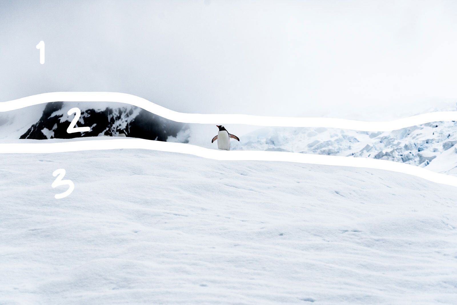 james-eades-WKp-NWSGWjQ-unsplash-3-compressor.jpg