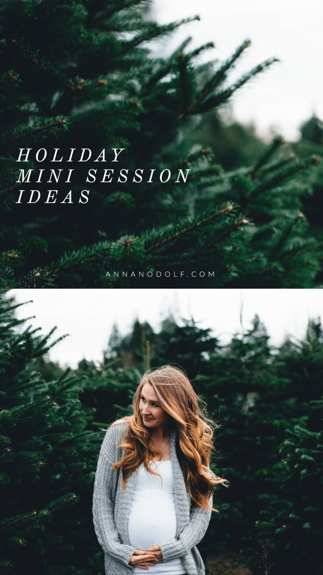 the best tree farm mini sessions in seattle — Anna Nodolf | Documentary ...