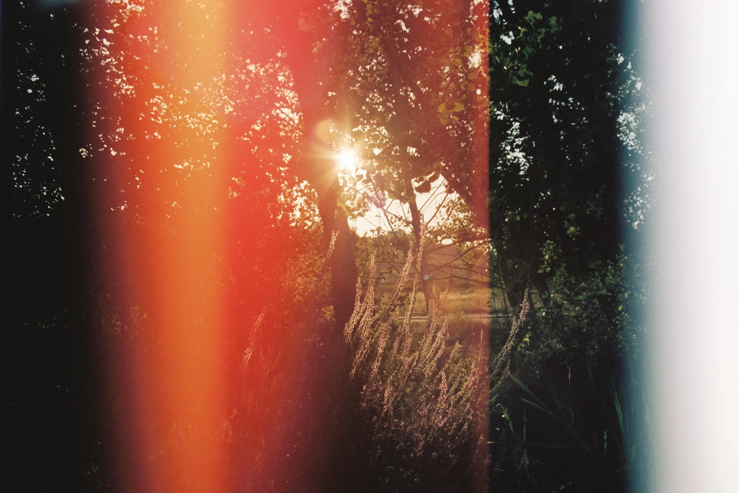 thamara-prada-unsplash