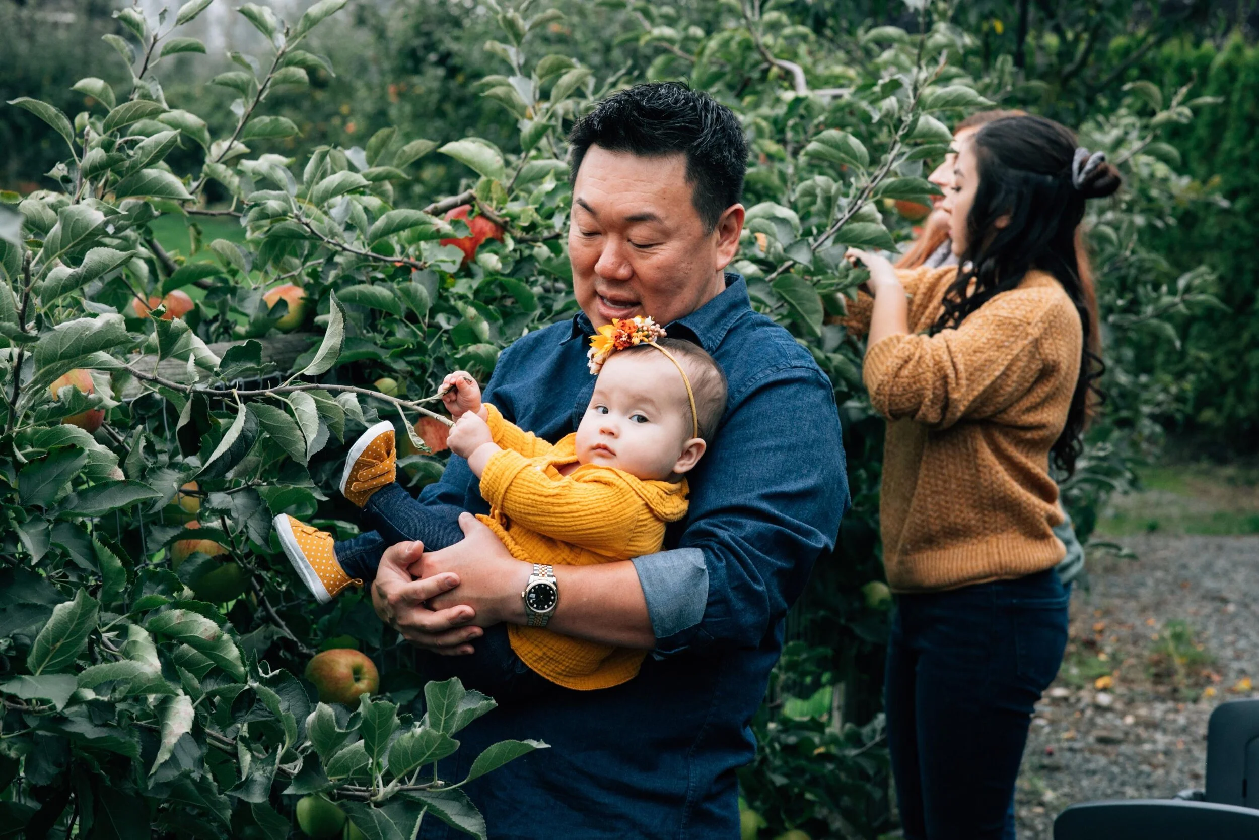 seattle fall mini sessions - snohomish photographer