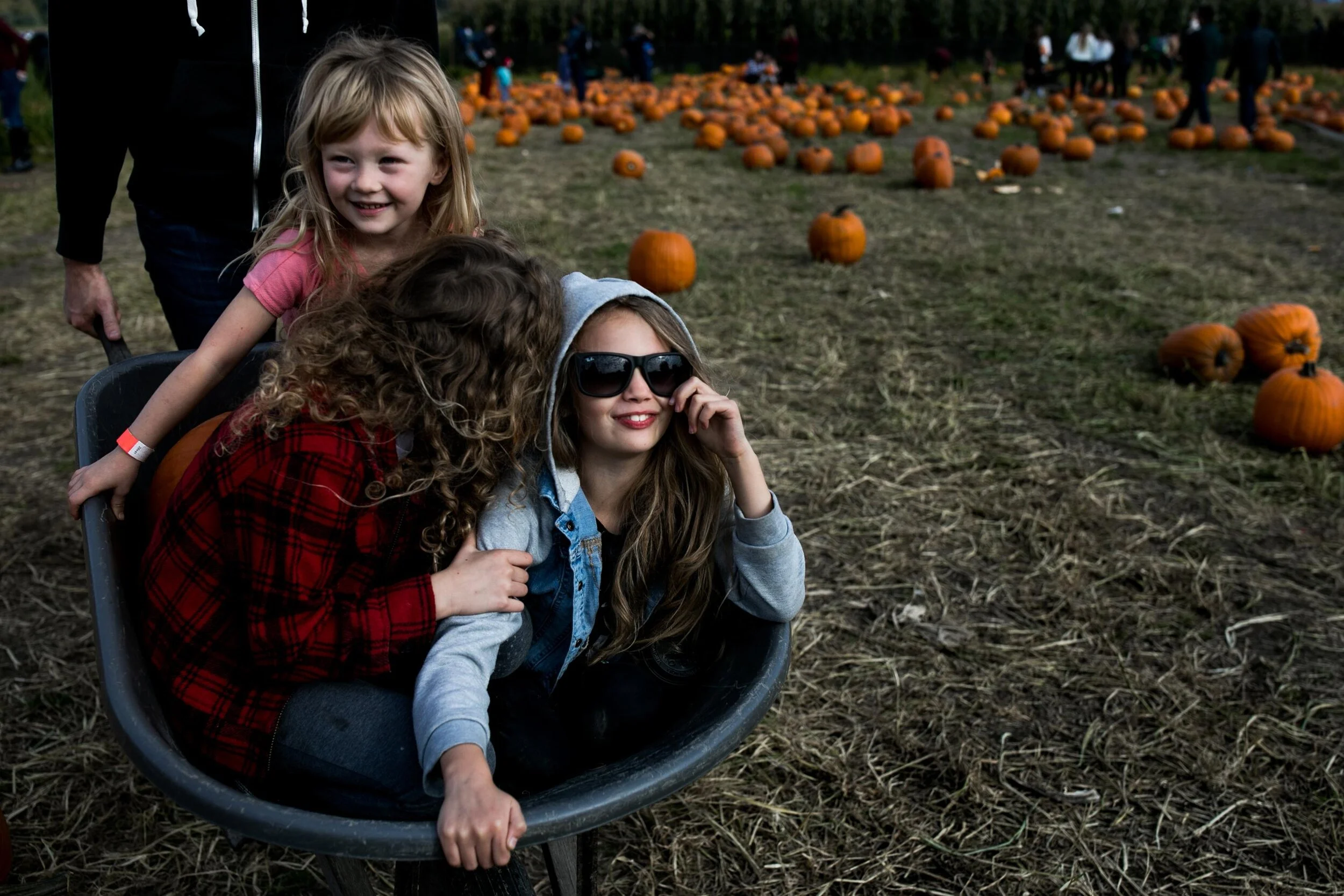 the best seattle mini sessions // apple picking in snohomish — Anna