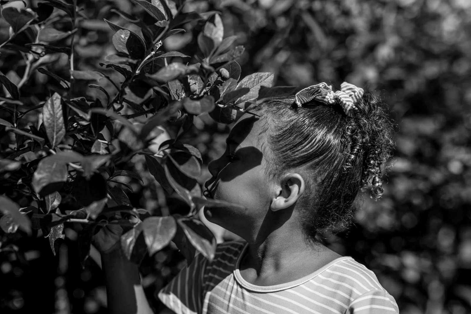 seattle mini session photographer - summer