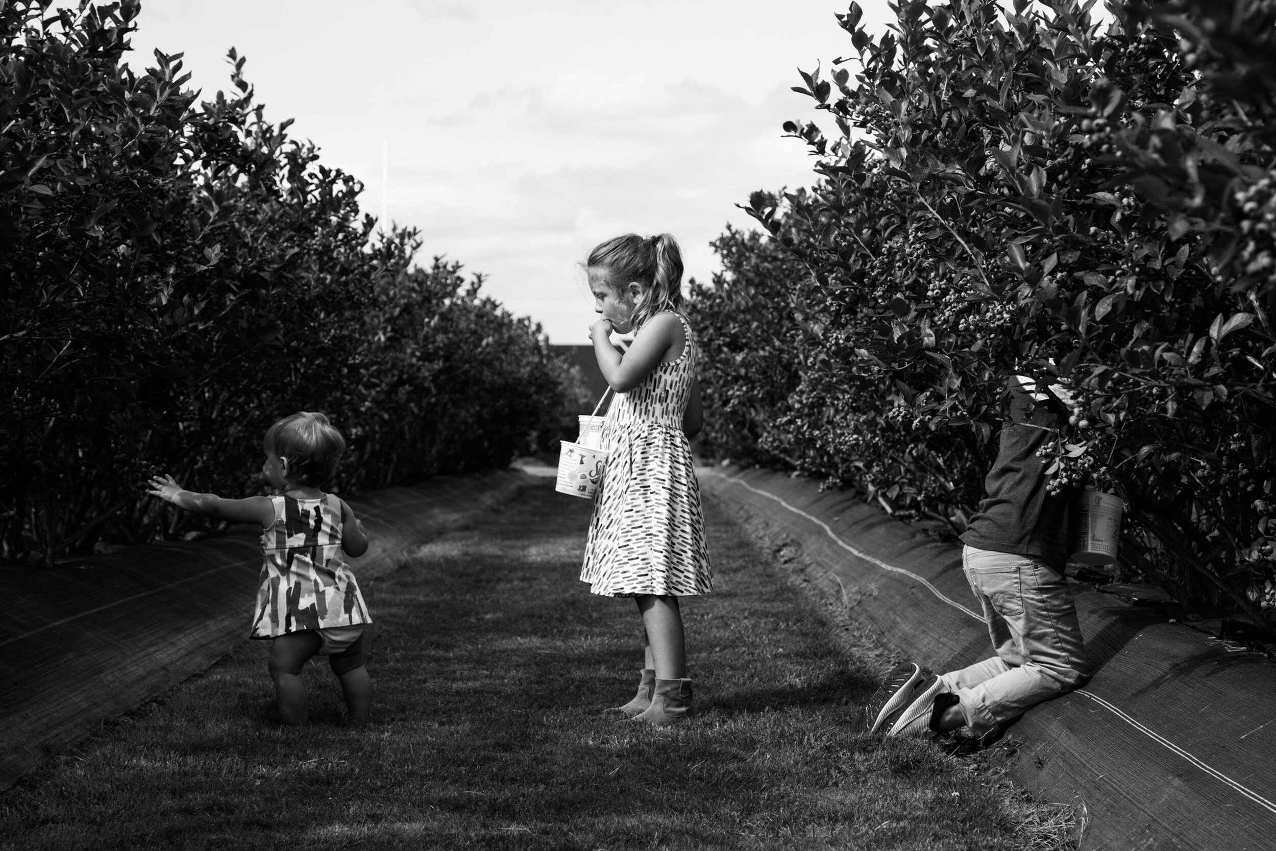 seattle summer lifestyle family photography - anna nodolf