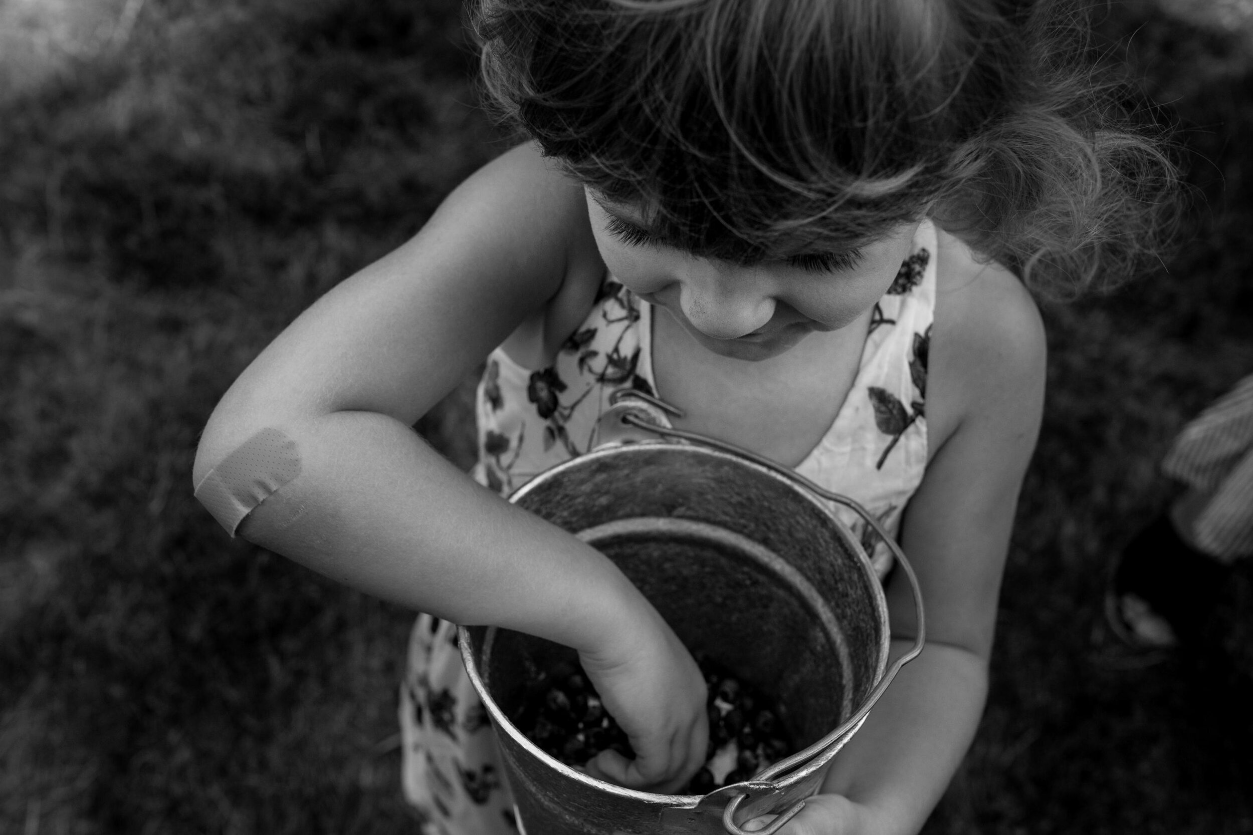 seattle summer lifestyle family photography - anna nodolf