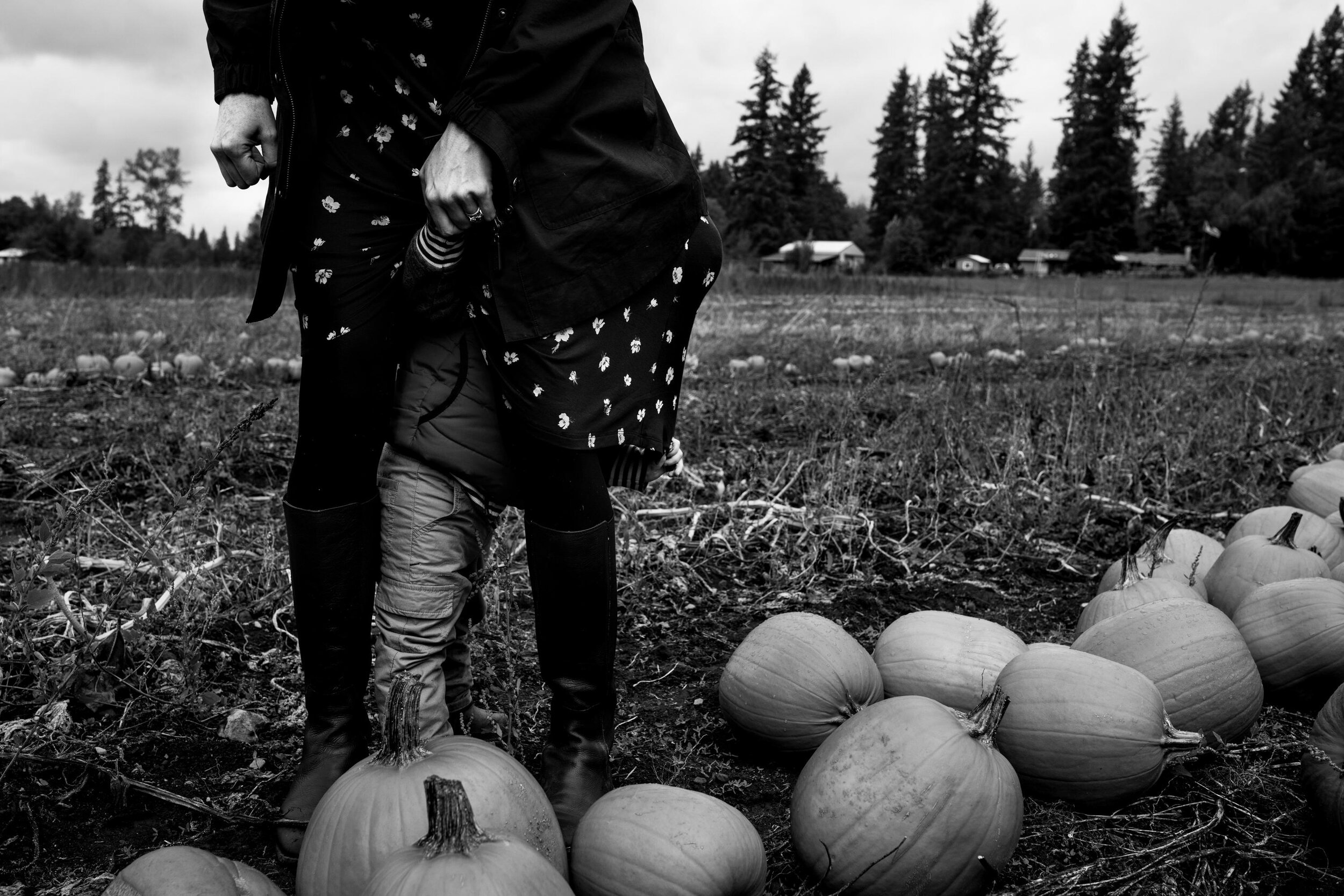 fall mini sessions in Snohomish - maple valley family photographer