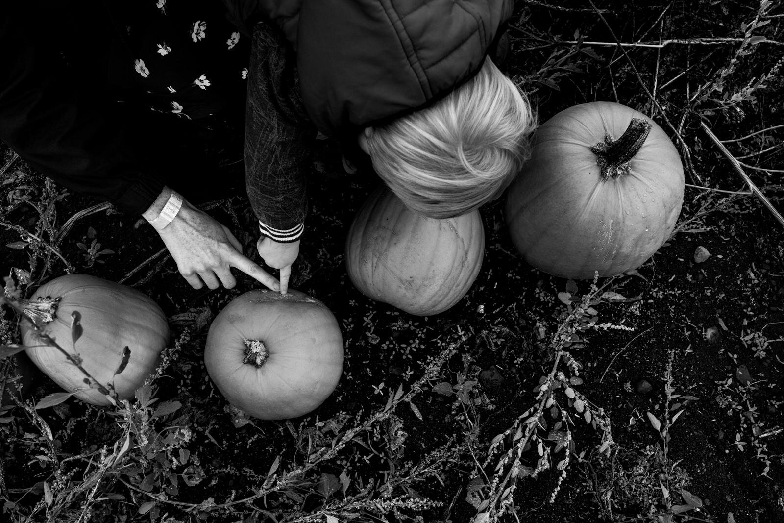 fall mini sessions in enumclaw - maple valley family photographer