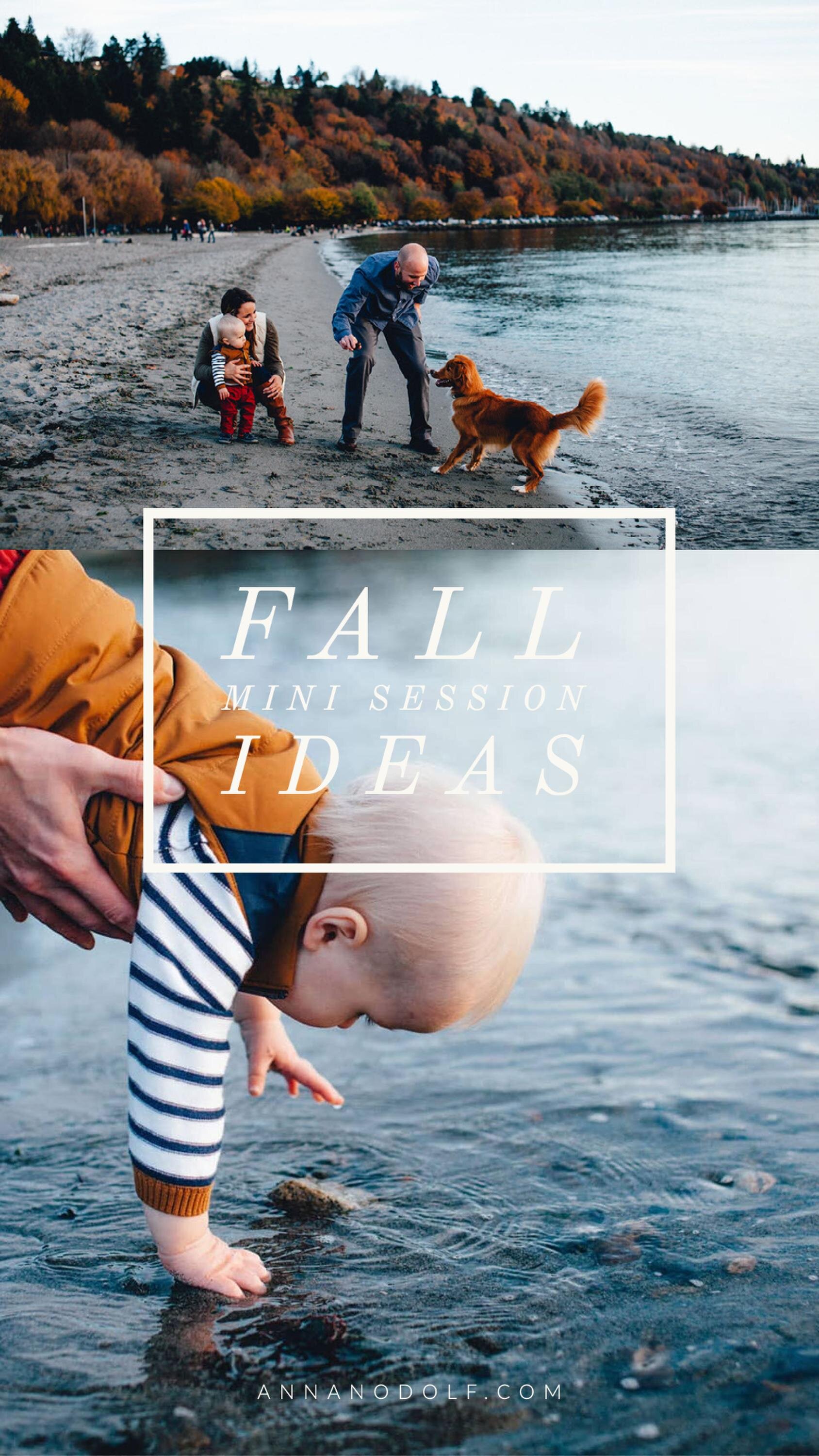 seattle lifestyle photographer - fall mini sessions (Copy) (Copy) (Copy)