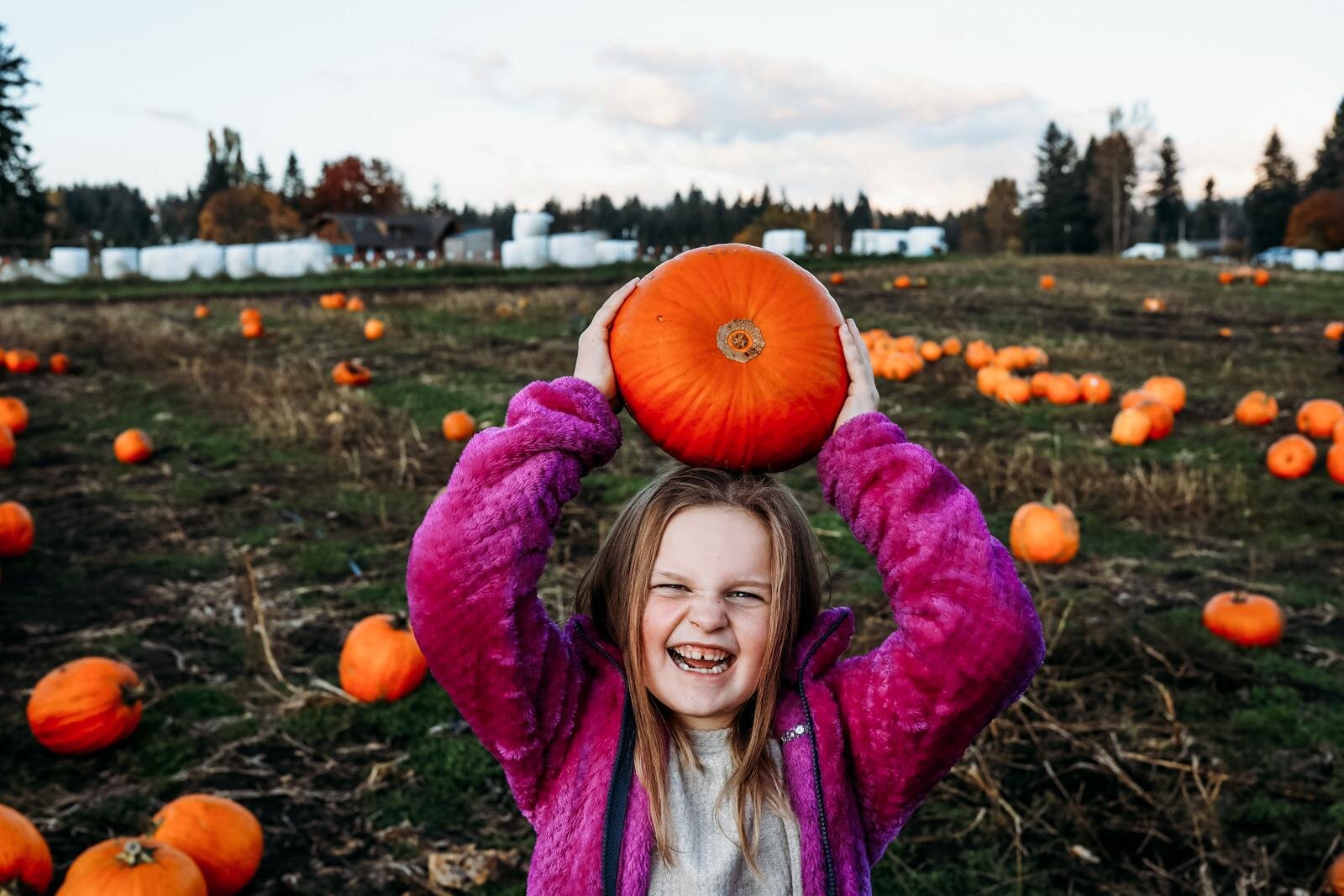 maple valley lifestyle mini sessions - pumpkin farm