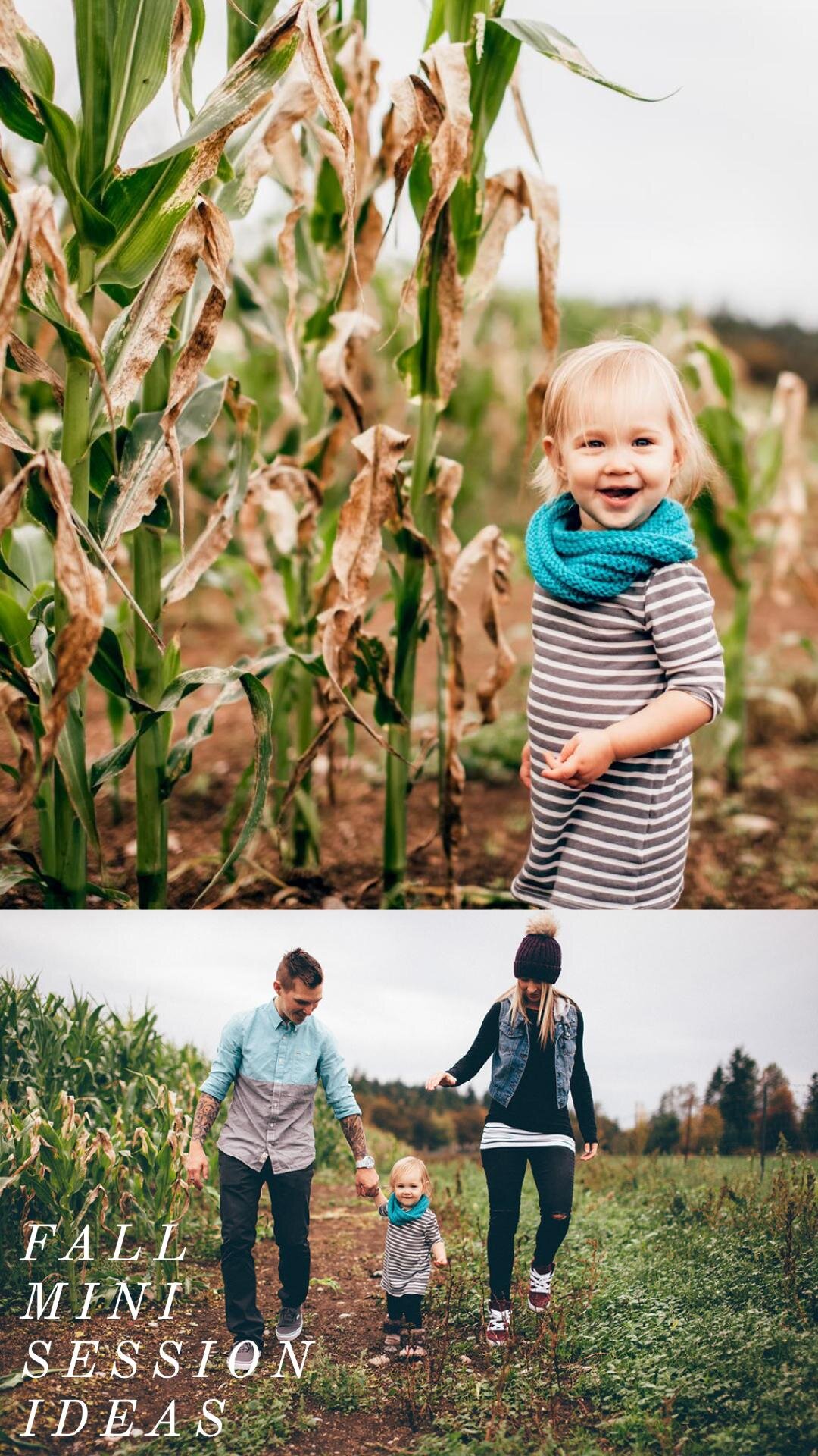 seattle lifestyle photographer - maple valley mini sessions (Copy)