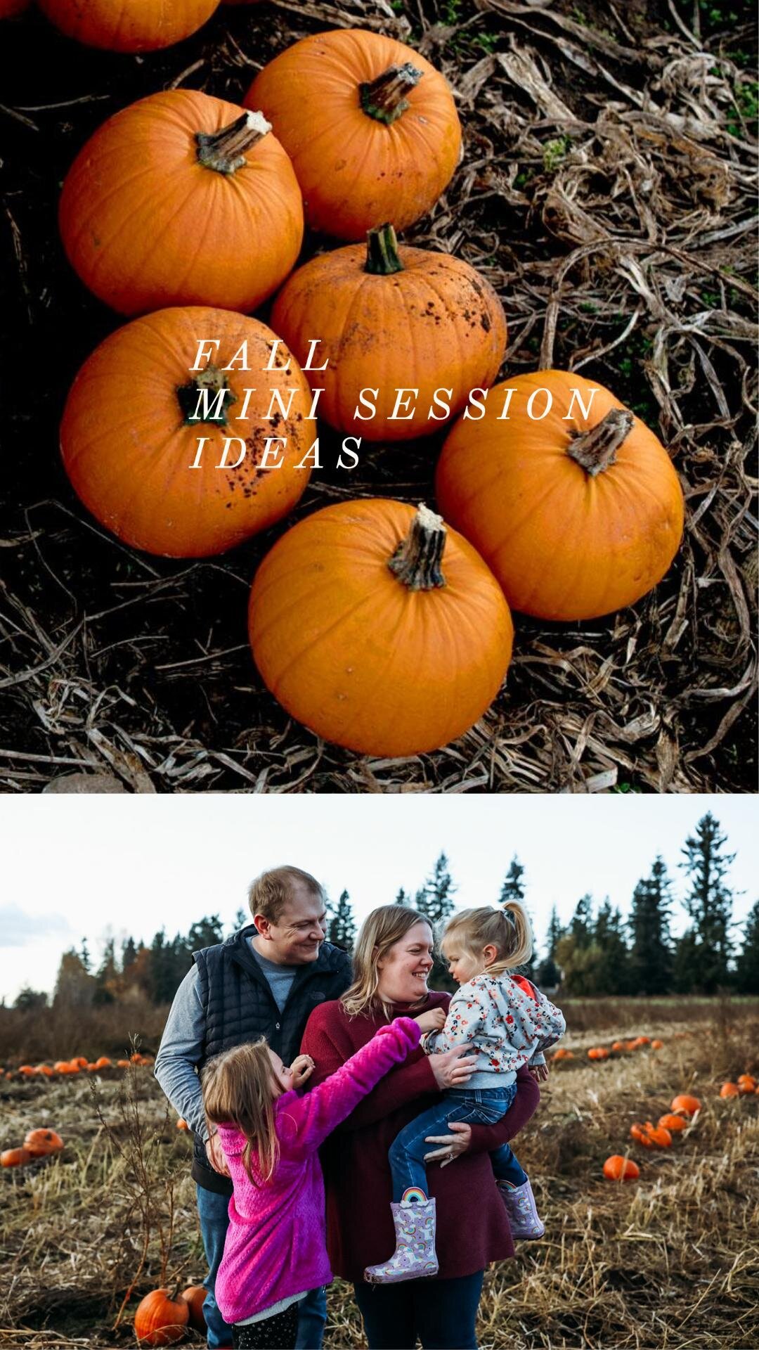 seattle lifestyle photographer - maple valley mini sessions