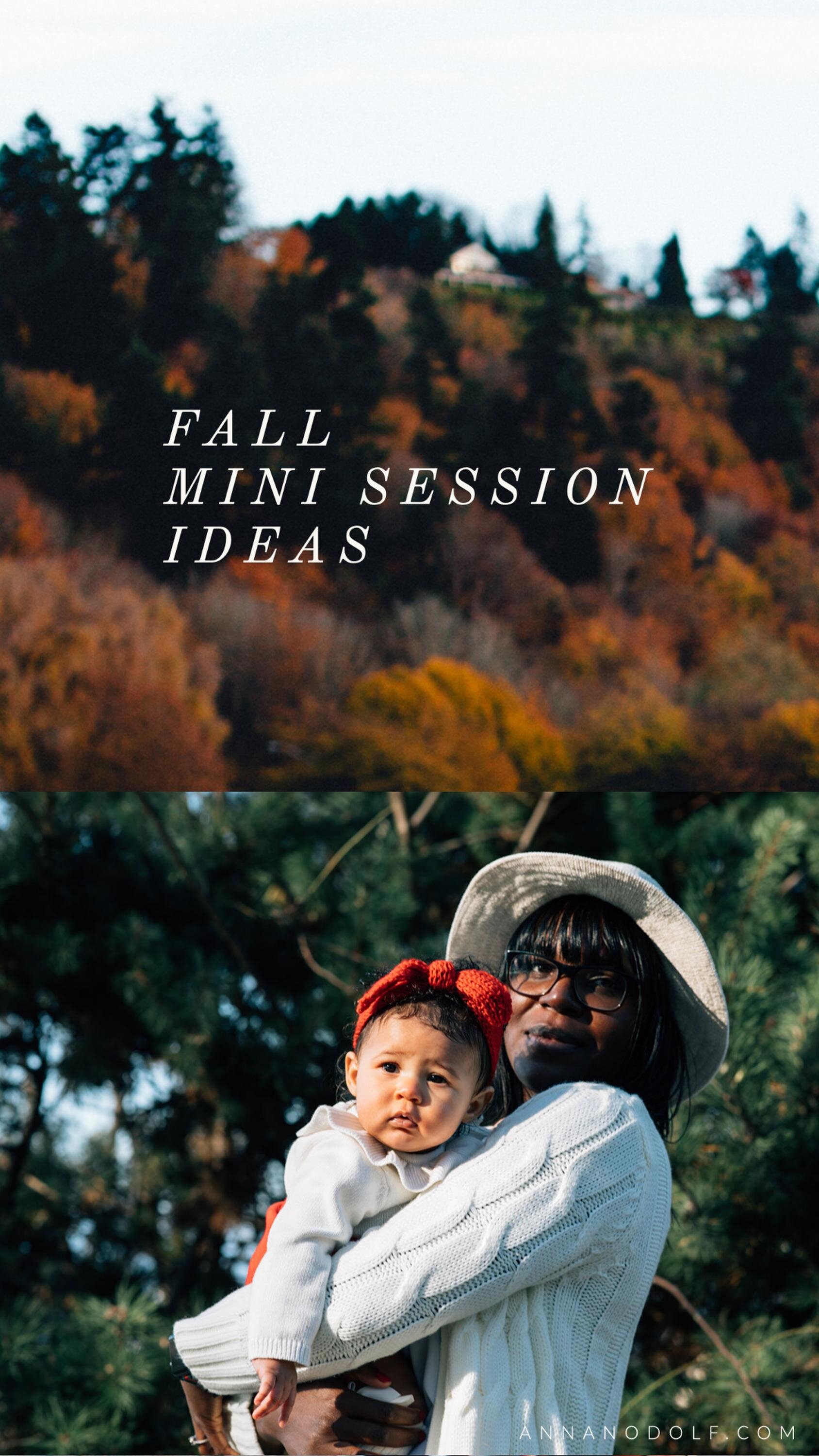 seattle lifestyle photographer - the best mini sessions in seattle