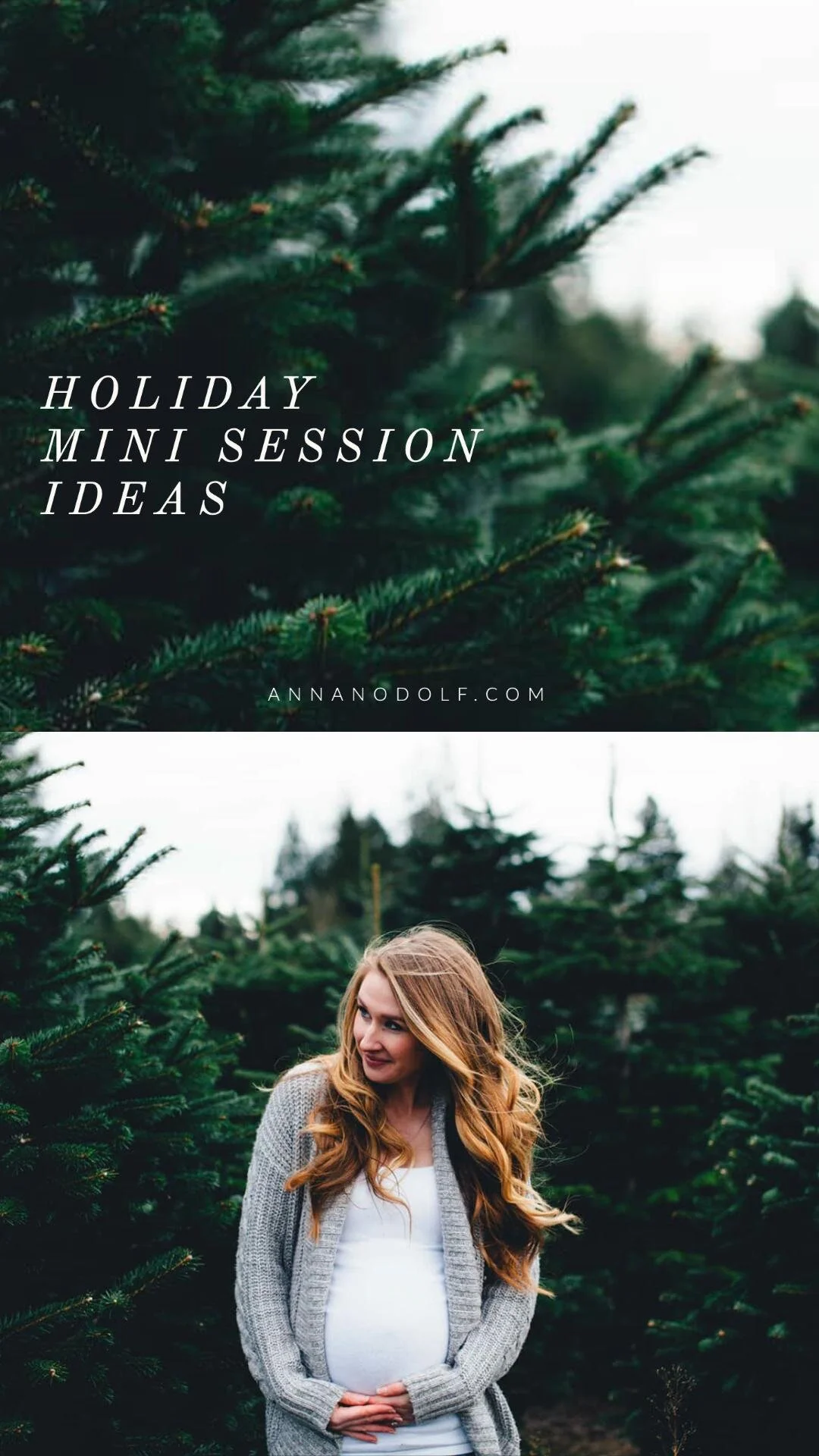 seattle lifestyle photographer - maple valley tree farm mini sessions