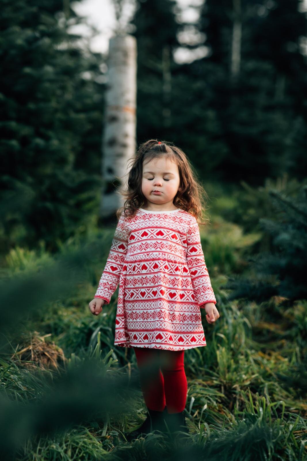 Santa mini sessions in maple valley - seattle family photographer (Copy)