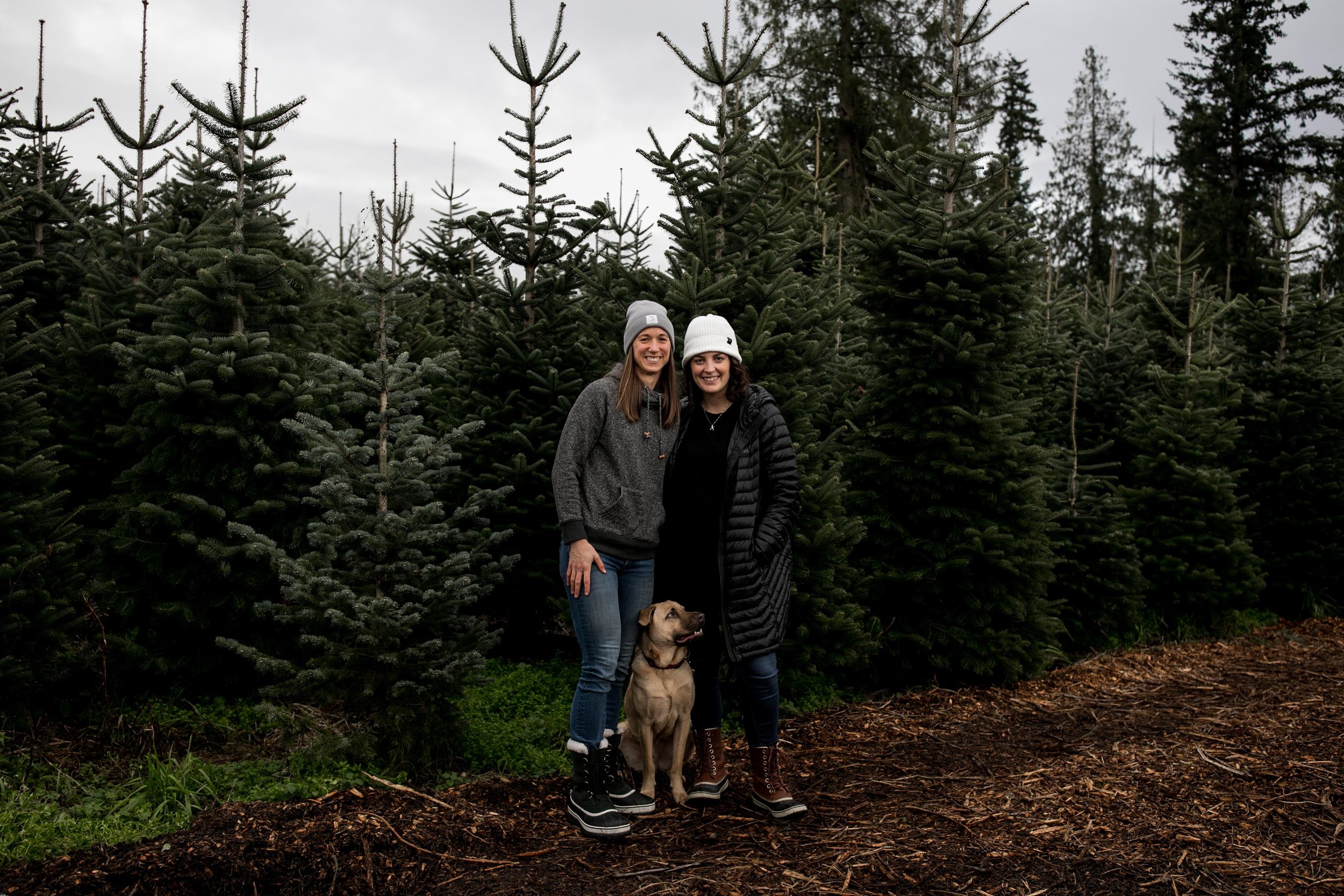 seattle lifestyle photographer - tree farm mini sessions