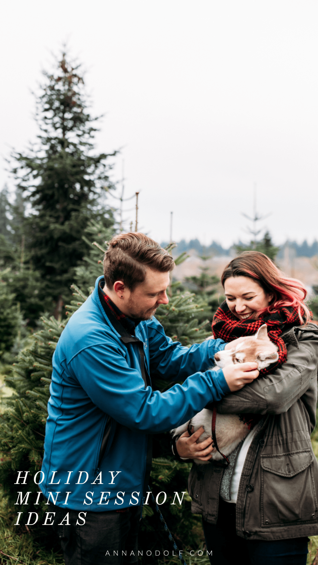 seattle lifestyle photographer - tree farm mini sessions