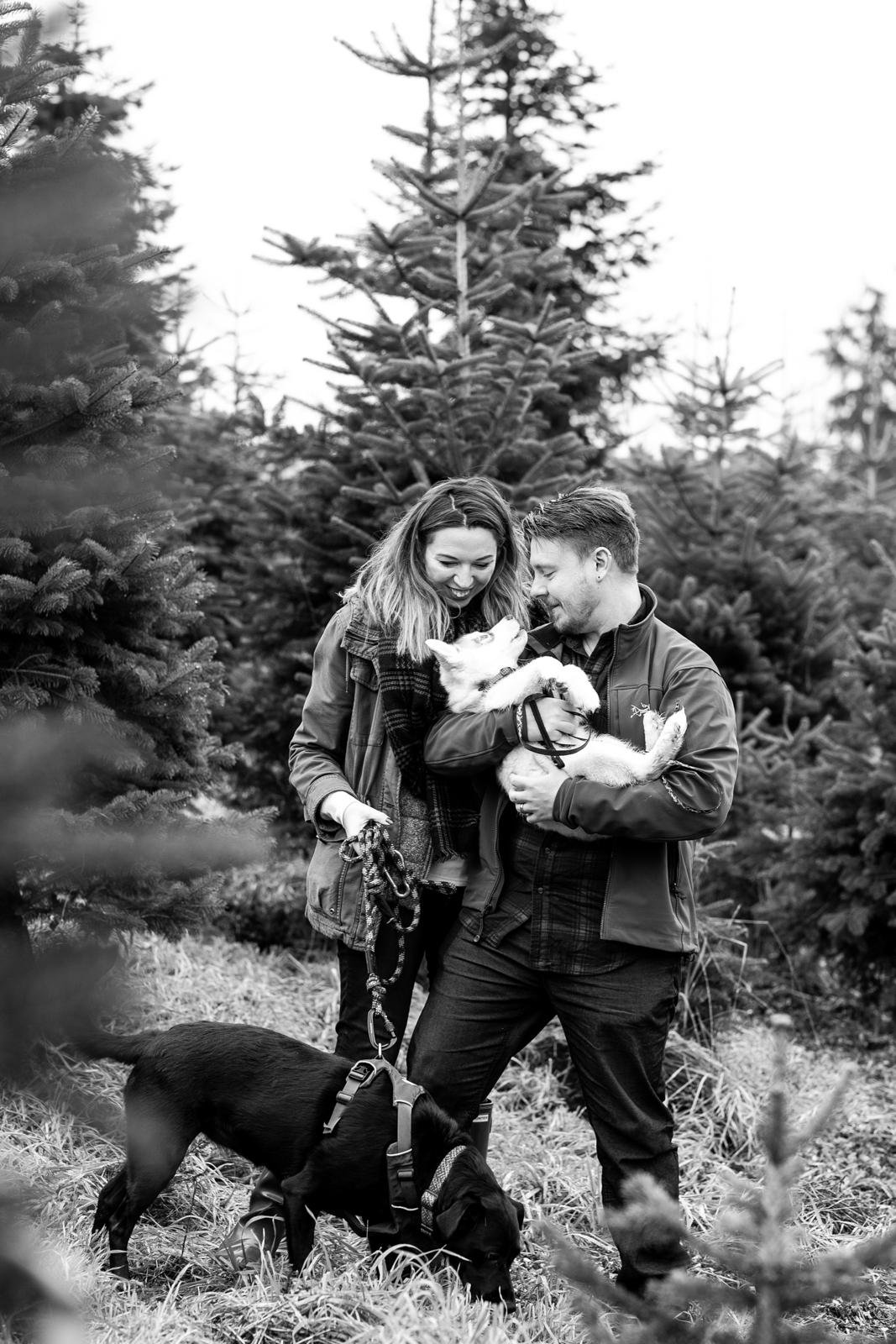 tree farm mini sessions in maple valley - seattle family photographer