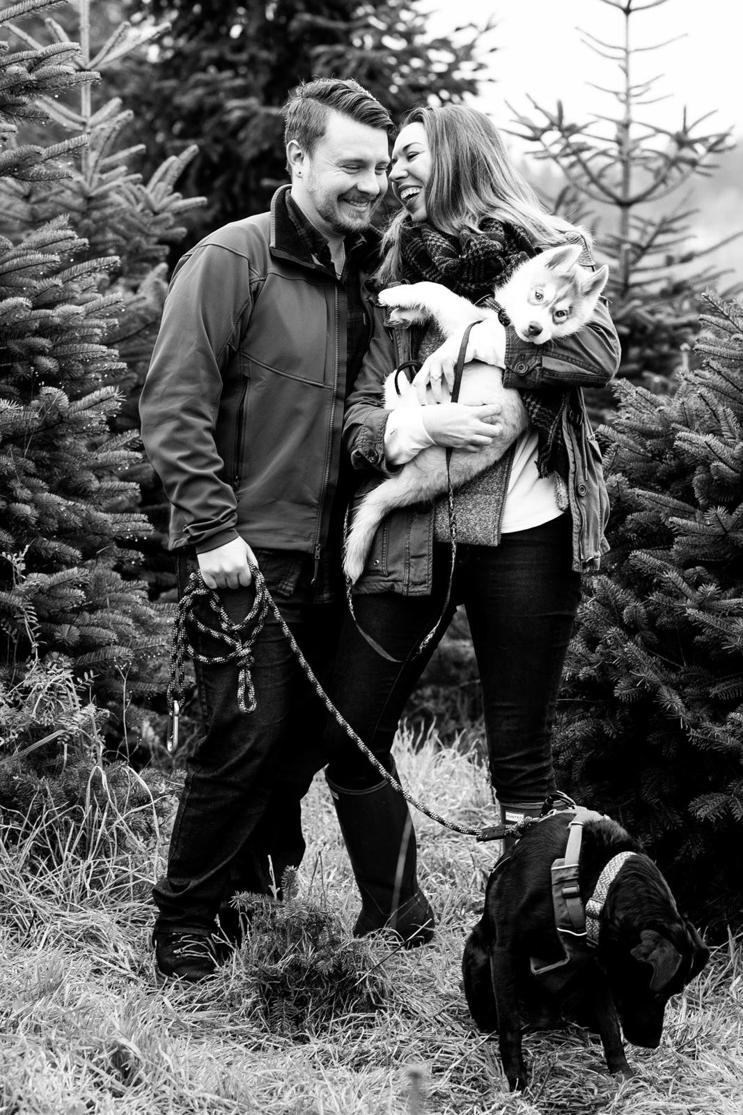 tree farm mini sessions in maple valley - seattle family photographer