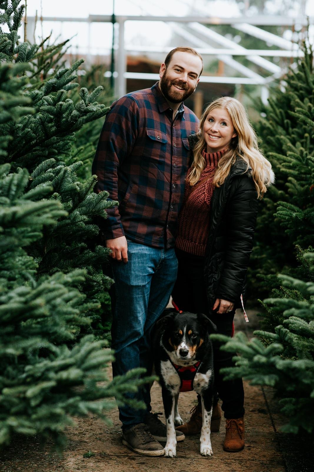 seattle lifestyle photographer - tree farm mini sessions