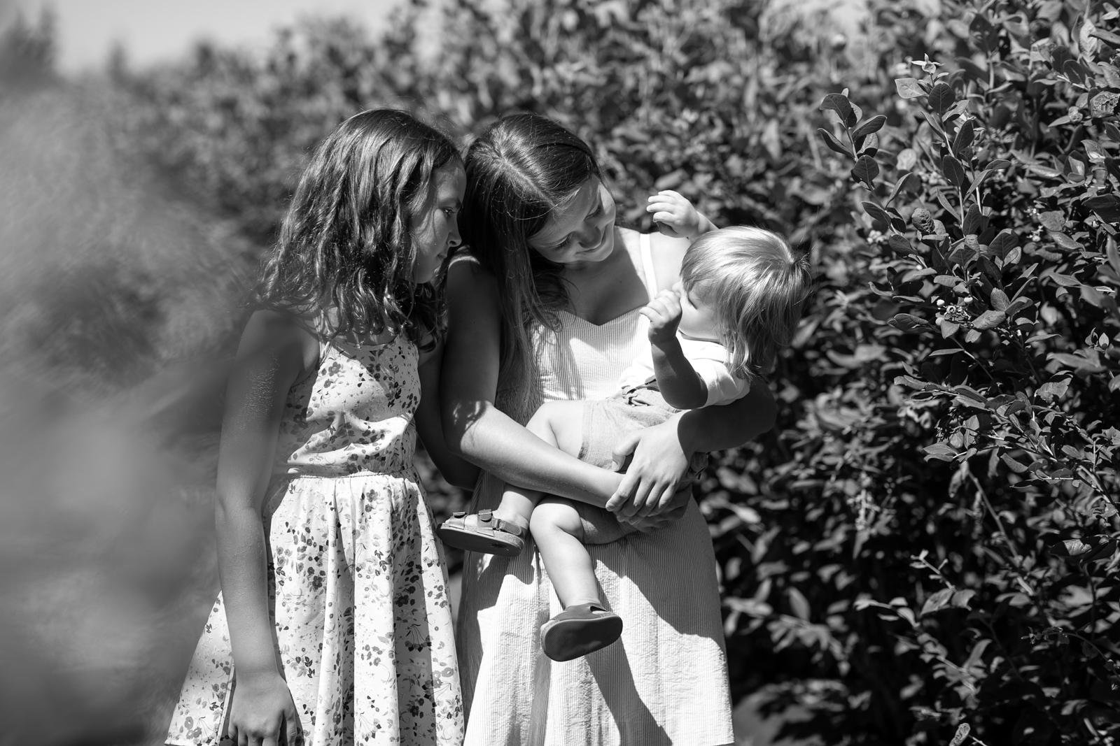 maple valley summer mini sessions - seattle lifestyle photographer