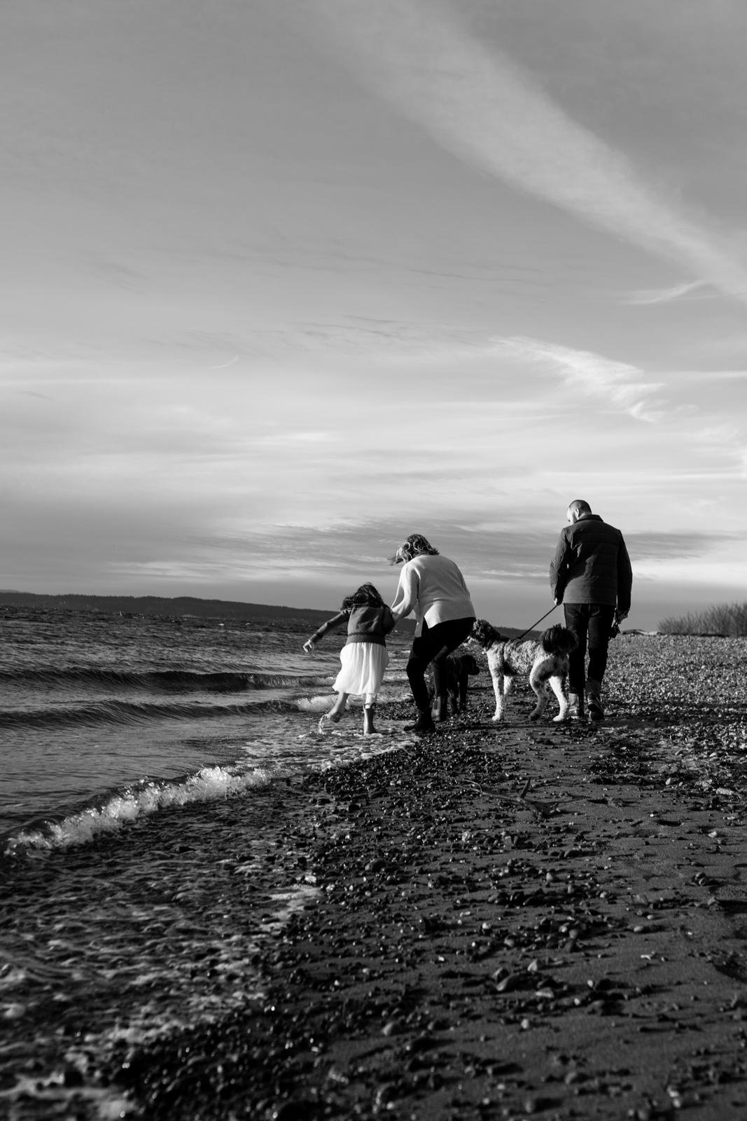 seattle mini session photographer - fall beach