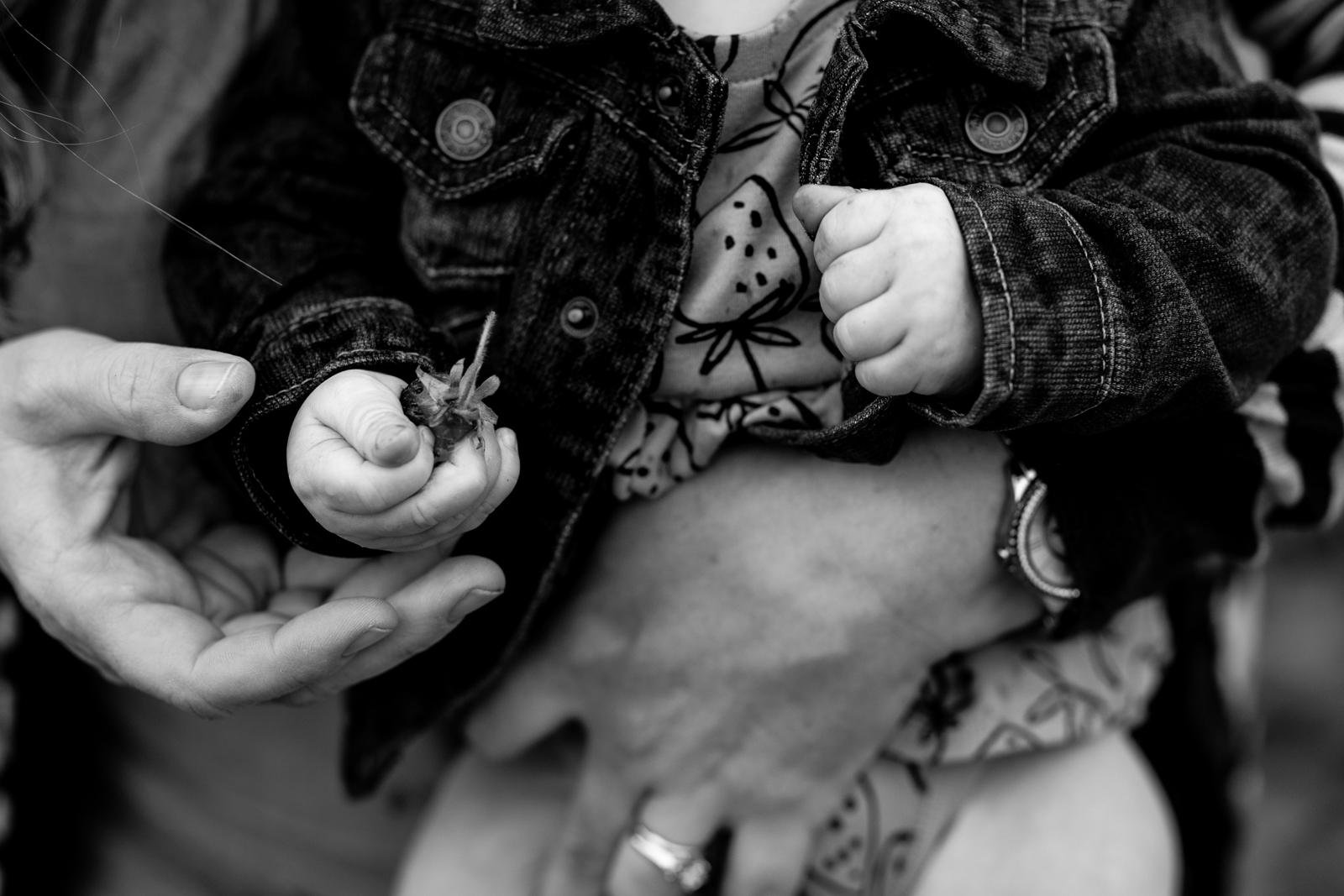 2021 summer mini sessions // black and white