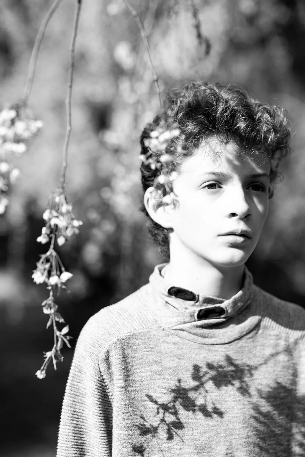 spring mini sessions - seattle lifestyle photographer