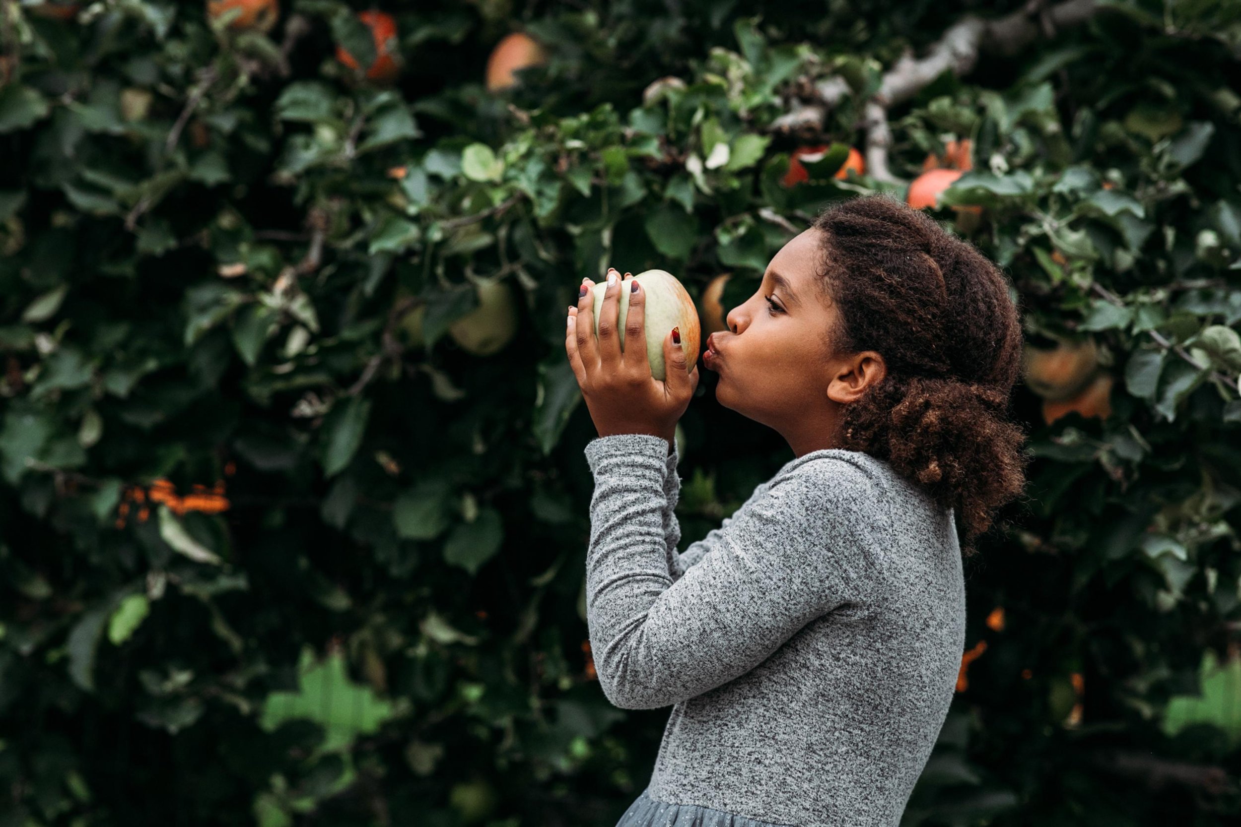 seattle lifestyle photographer - fall mini sessions