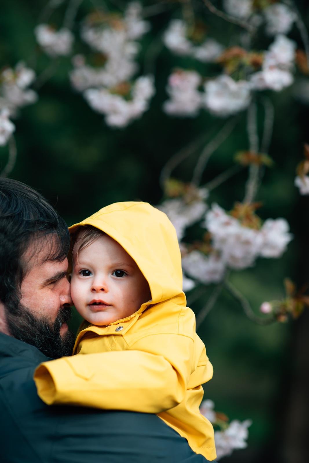 cherry blossom mini sessions - seattle lifestyle photographer