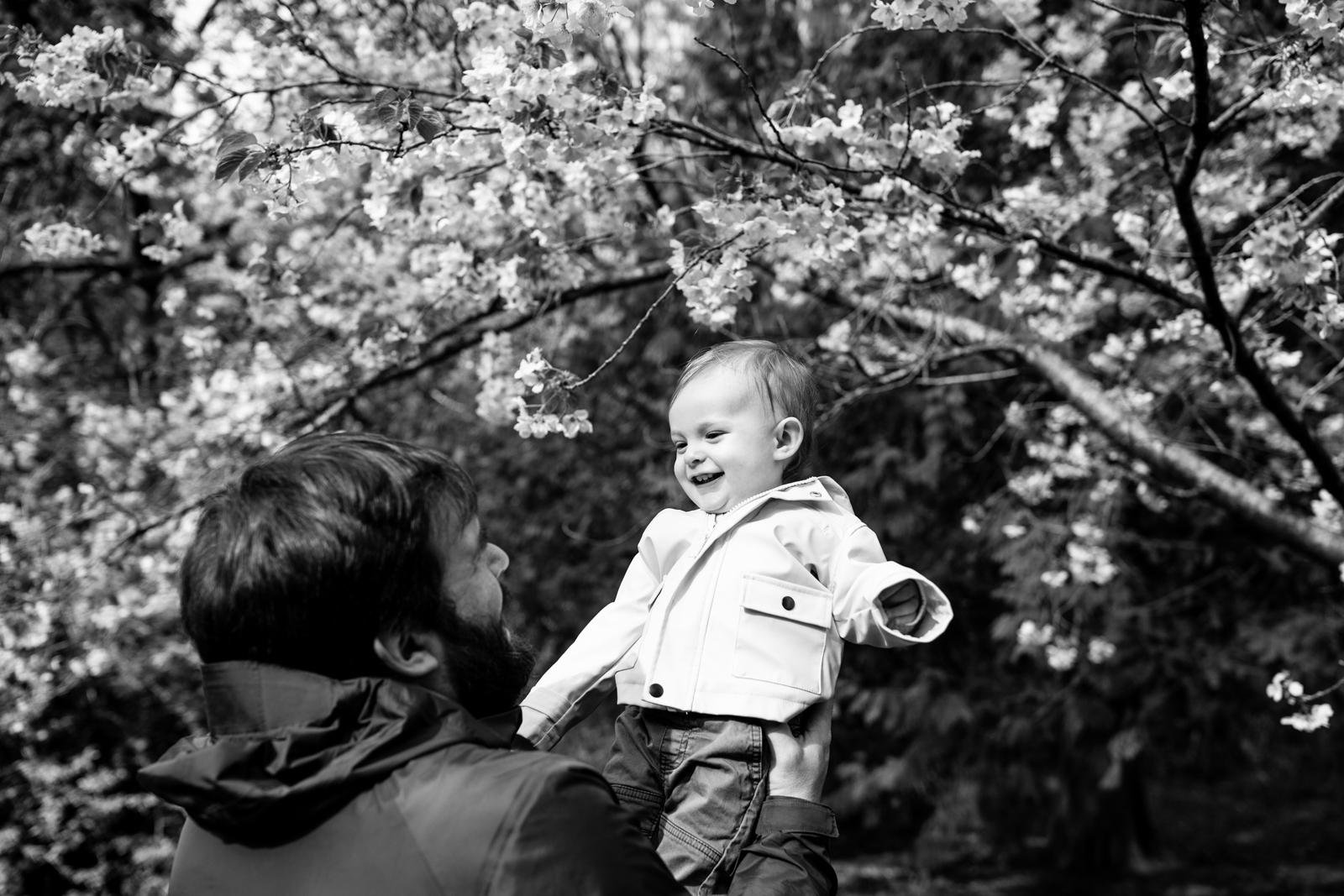 cherry blossom mini sessions - Seattle lifestyle photographer