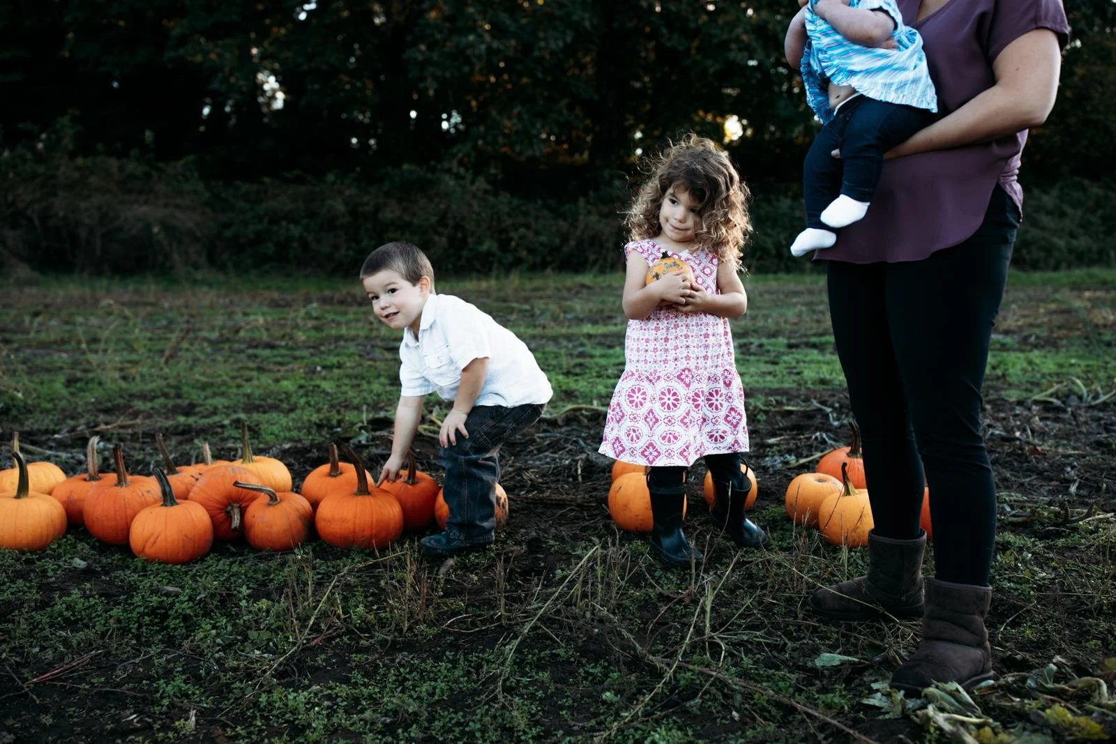 maple valley lifestyle photographer - fall mini sessions