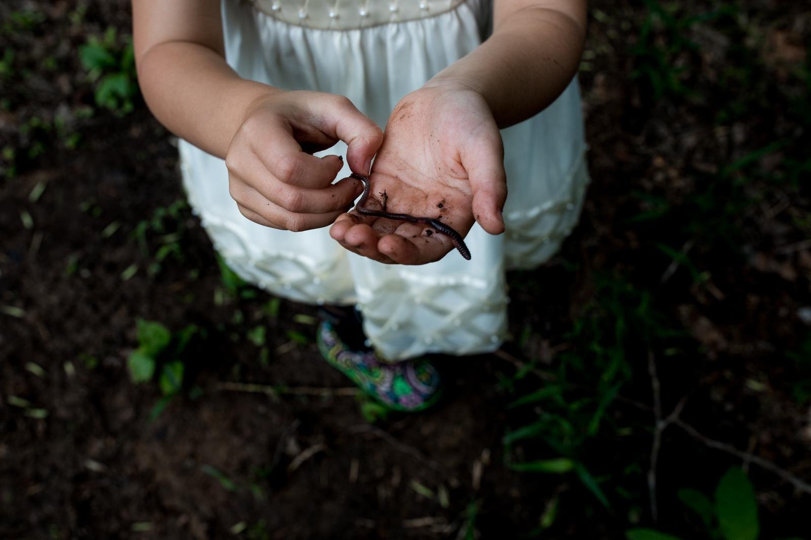 seattle lifestyle photographer - summer mini sessions