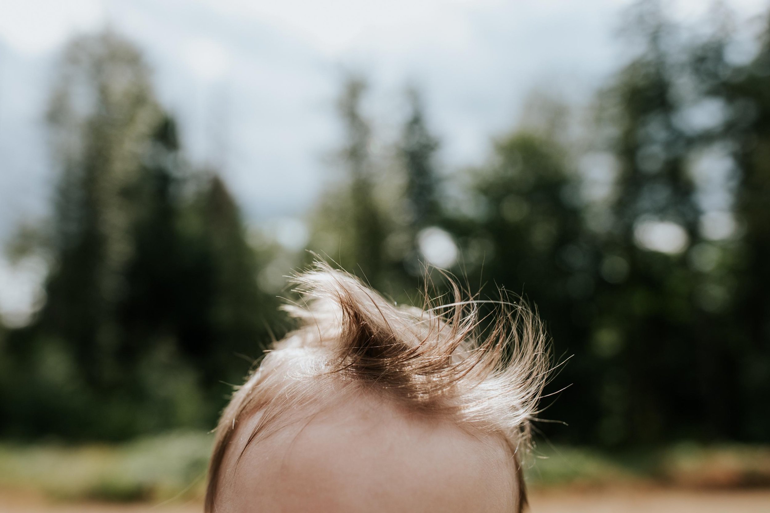 seattle lifestyle photographer - summer mini sessions