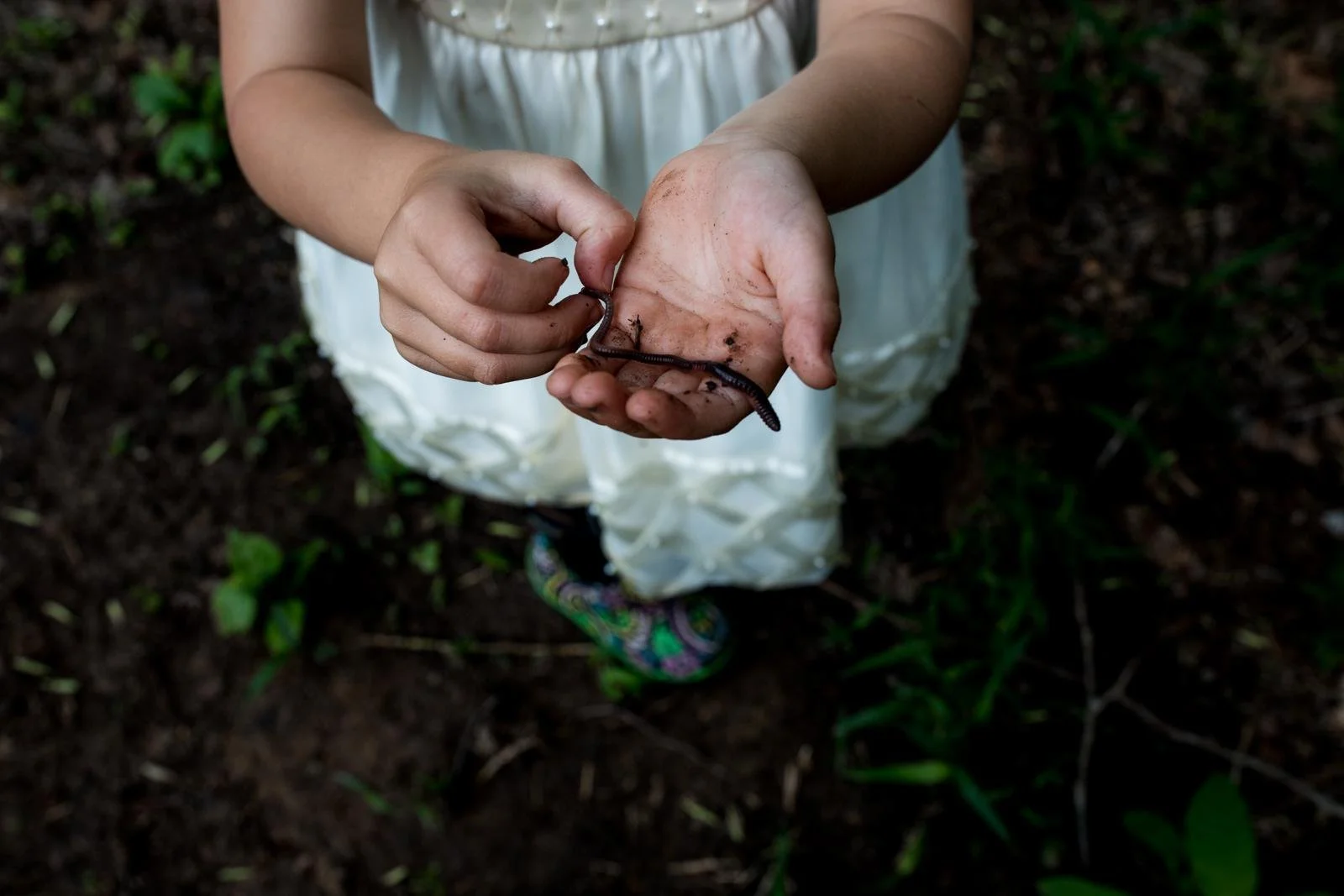 seattle lifestyle photographer - summer mini sessions