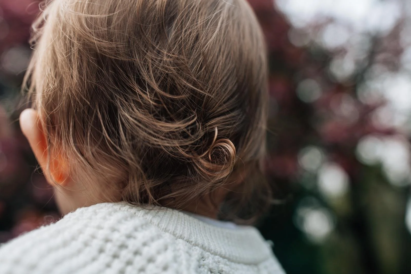 spring mini sessions - seattle lifestyle photographer 
