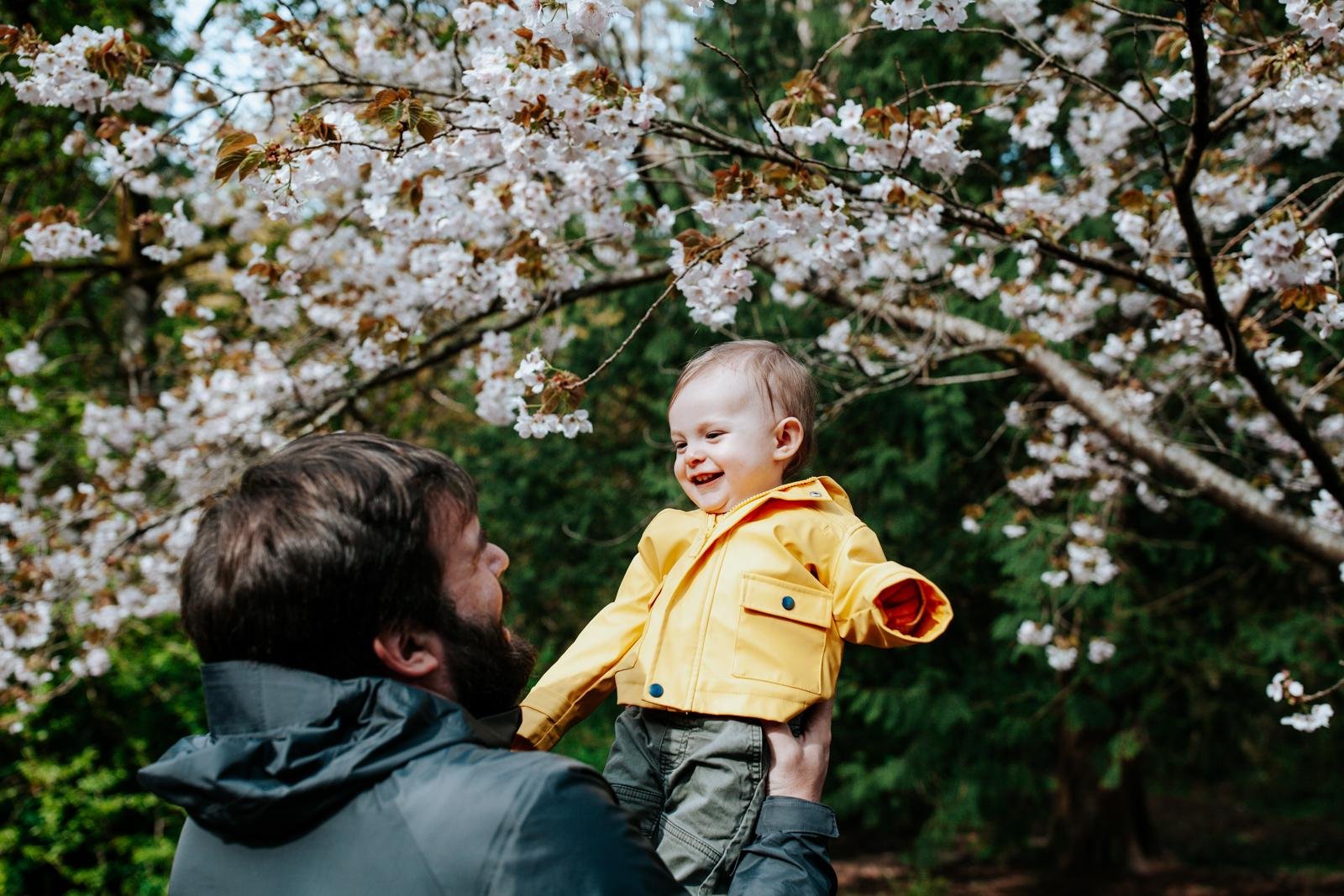 cherry blossom mini sessions - seattle lifestyle photographer