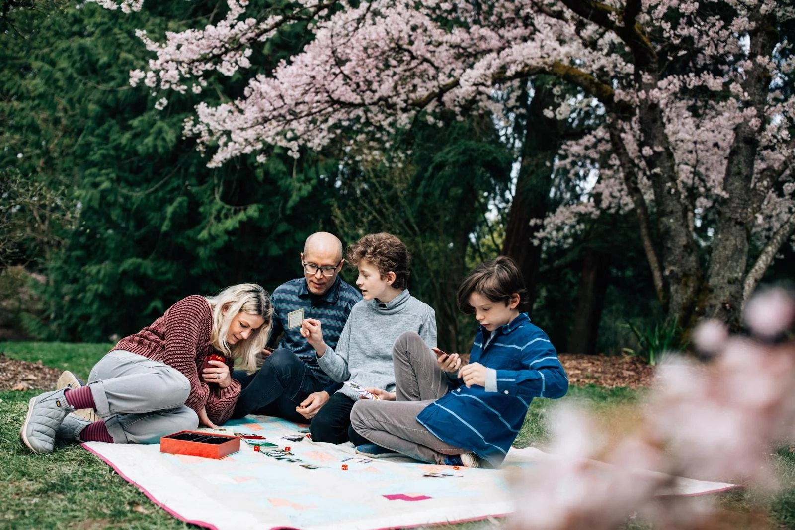 Cherry Blossom Mini Sessions in Seattle: Capture Memories Among the Blooms