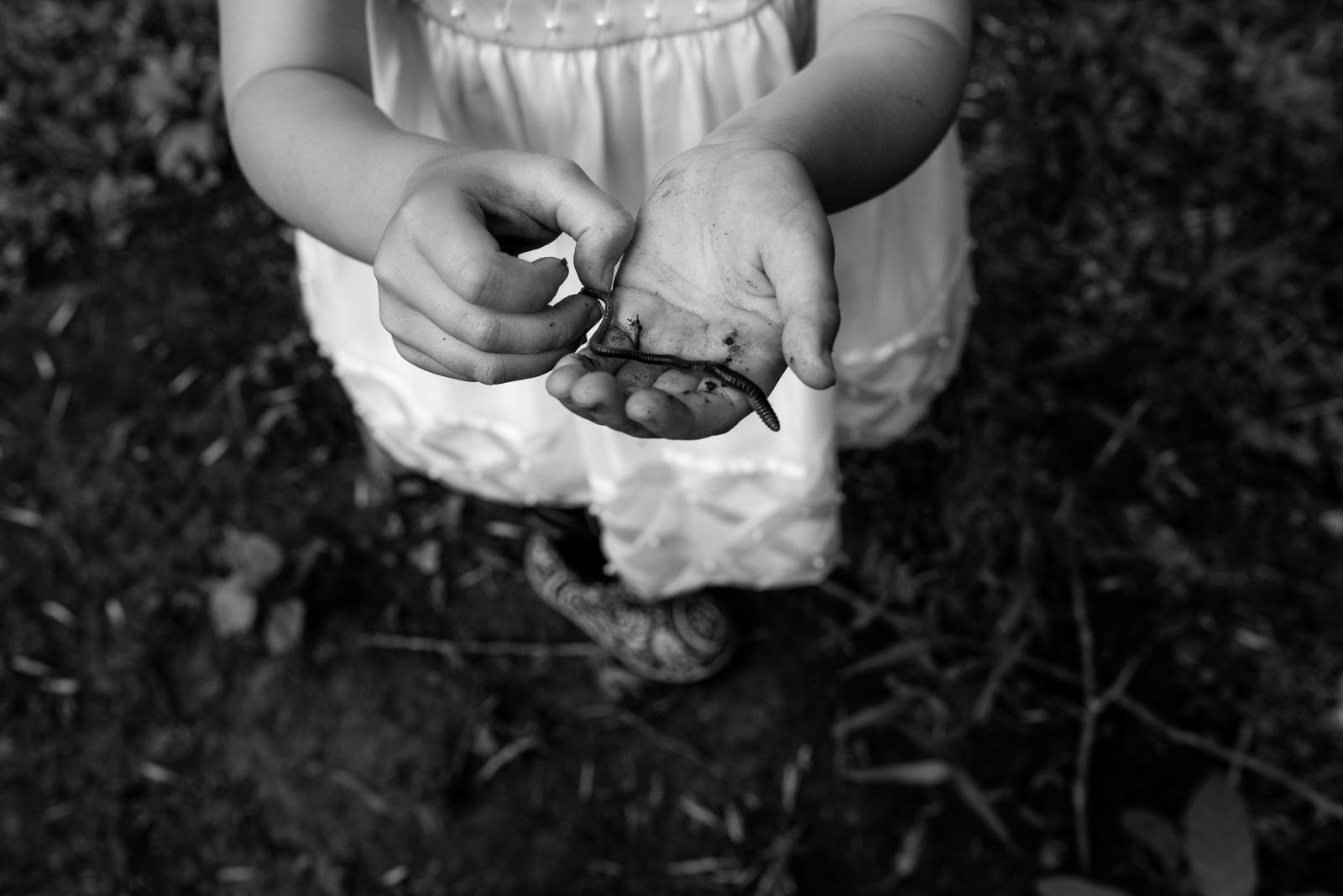 seattle mini session photographer - summer