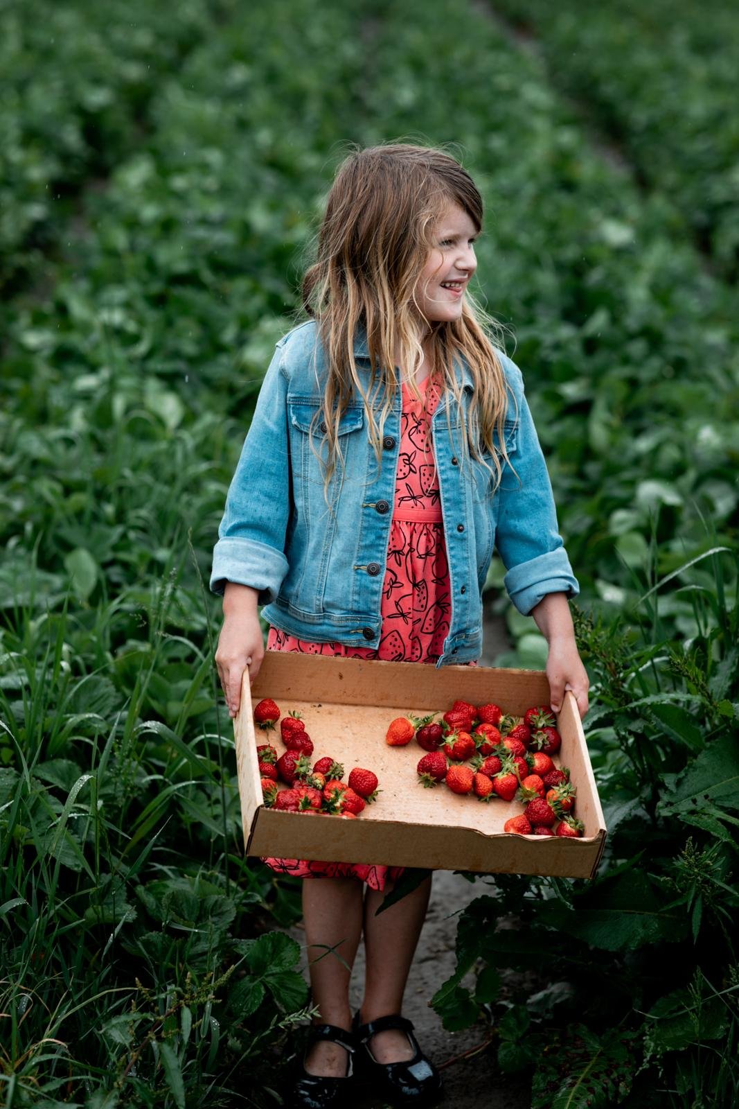 seattle mini session photographer - spring