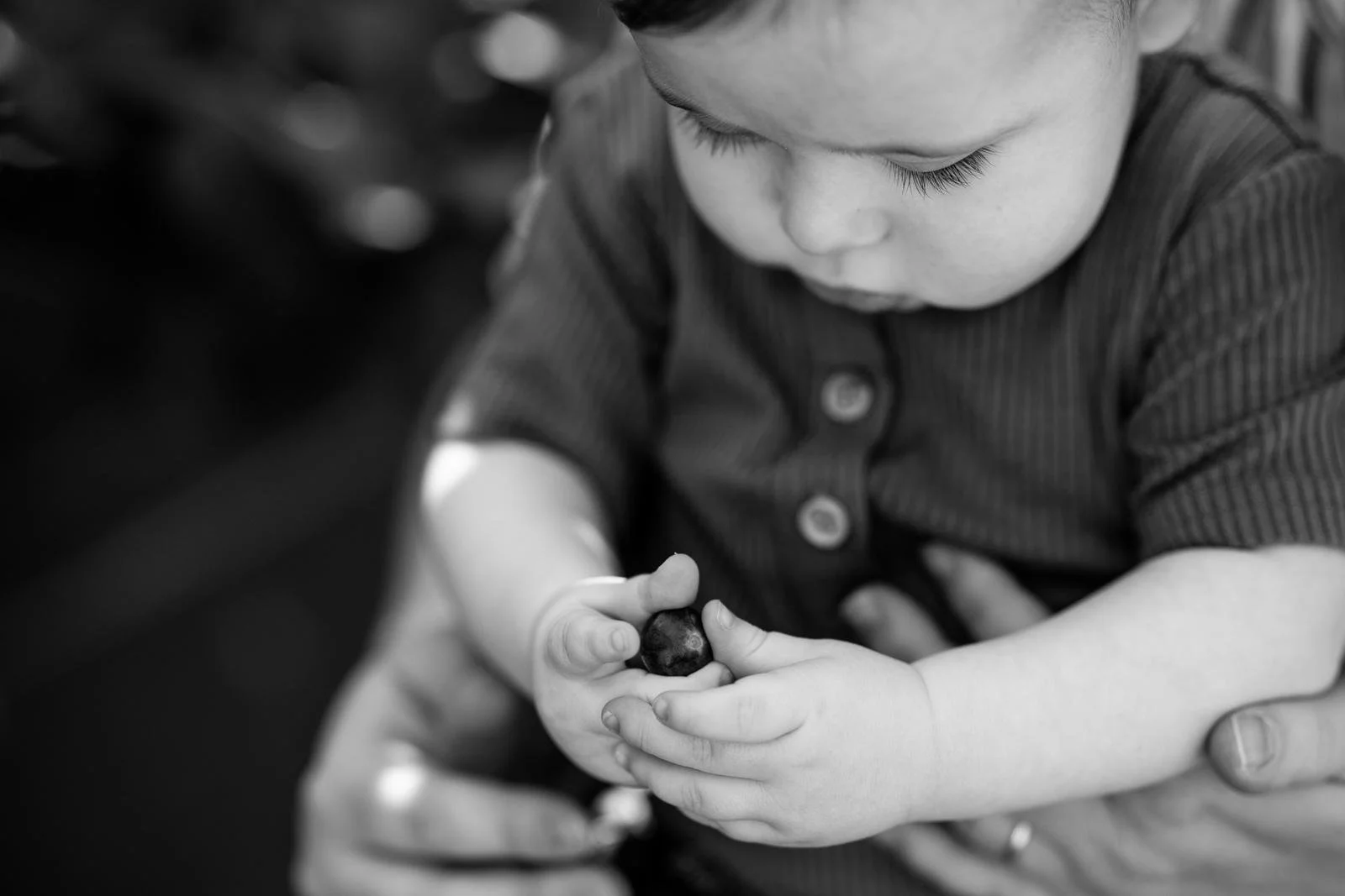 seattle lifestyle photographer - summer mini sessions