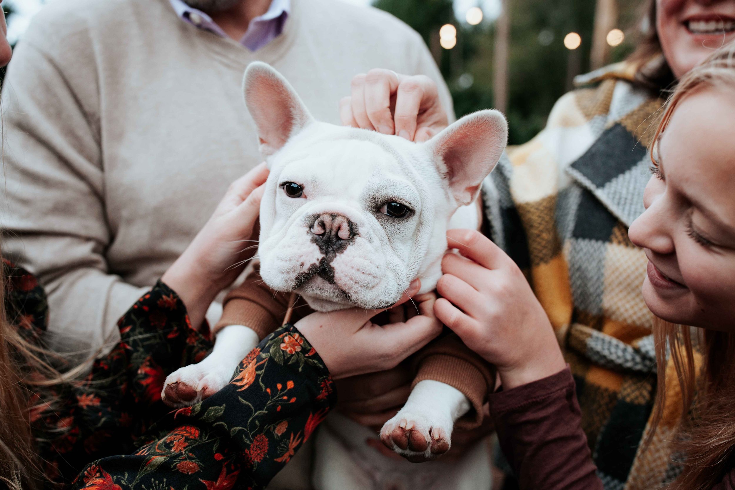 seattle lifestyle photographer - tree farm mini sessions