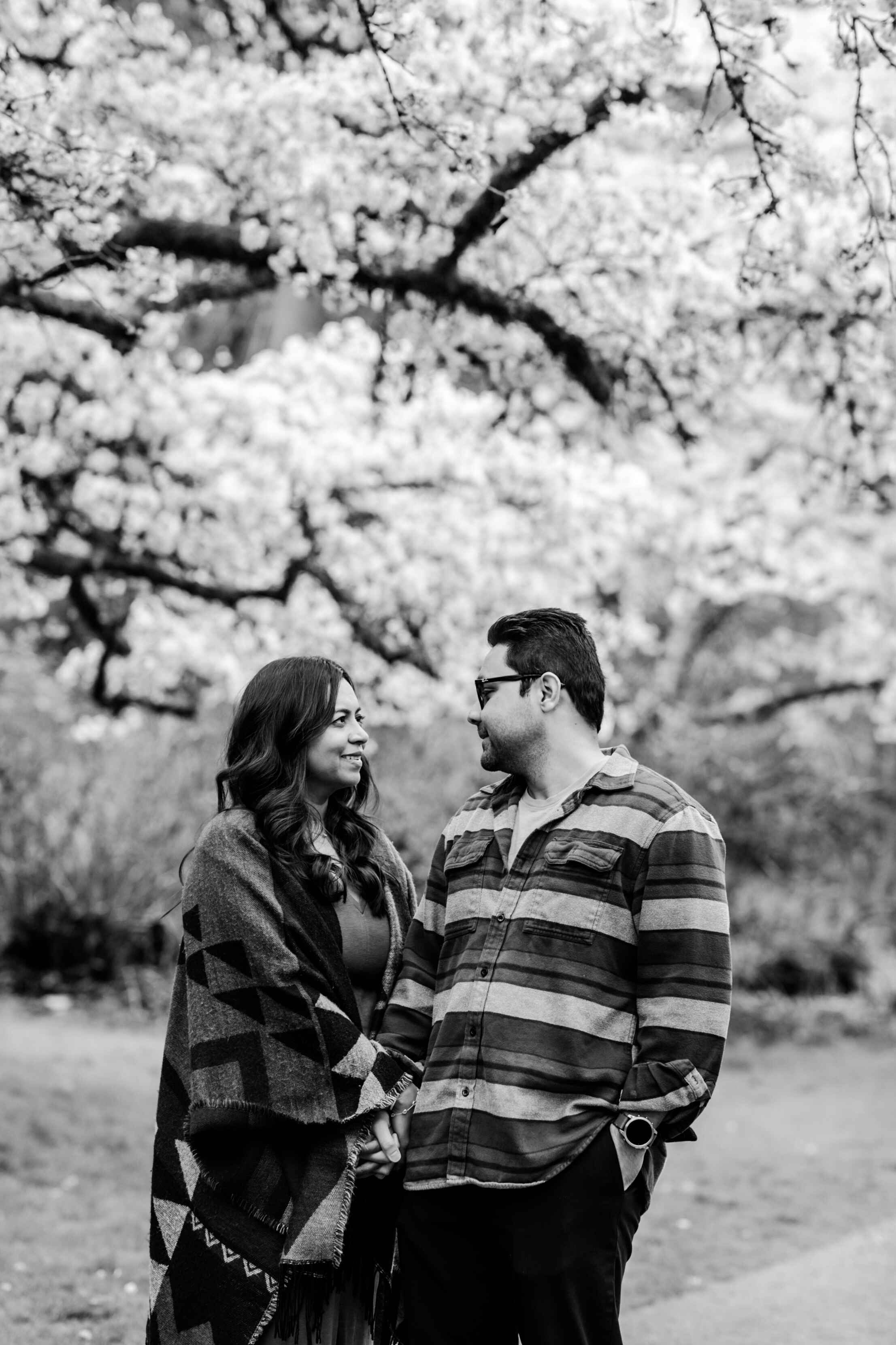 seattle lifestyle photographer - spring mini sessions