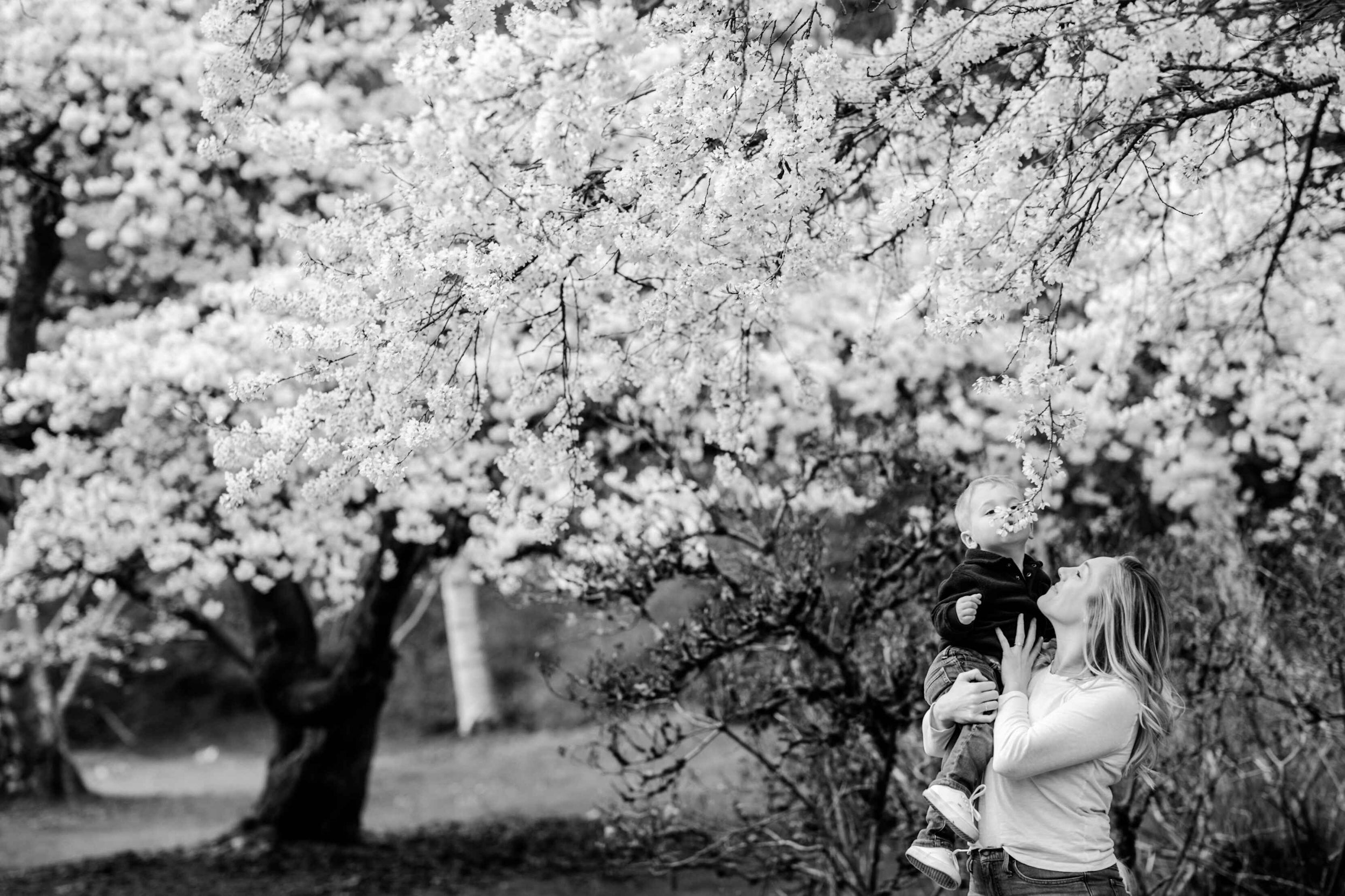 spring mini sessions - seattle lifestyle photographer 