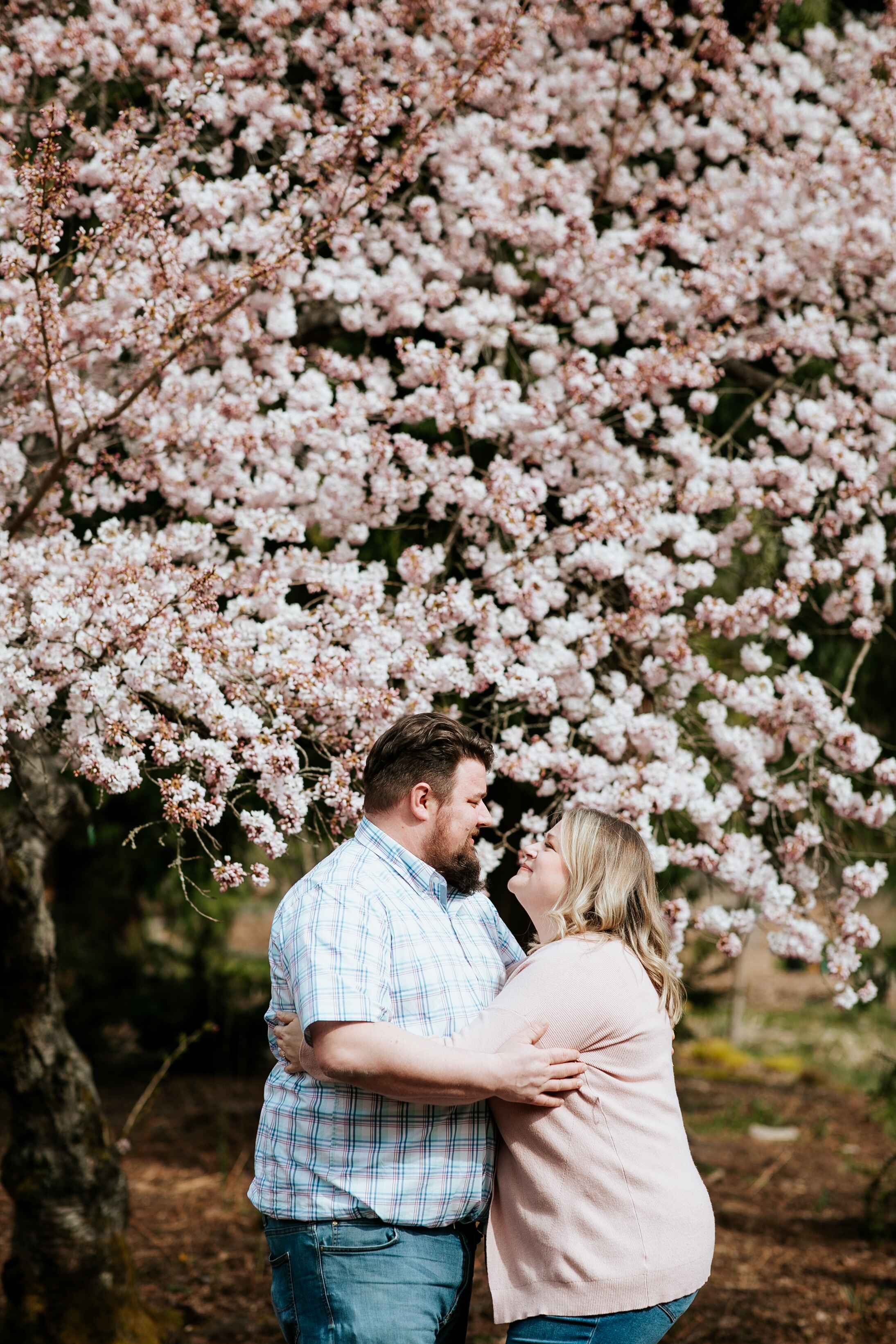 spring mini sessions - seattle lifestyle photographer