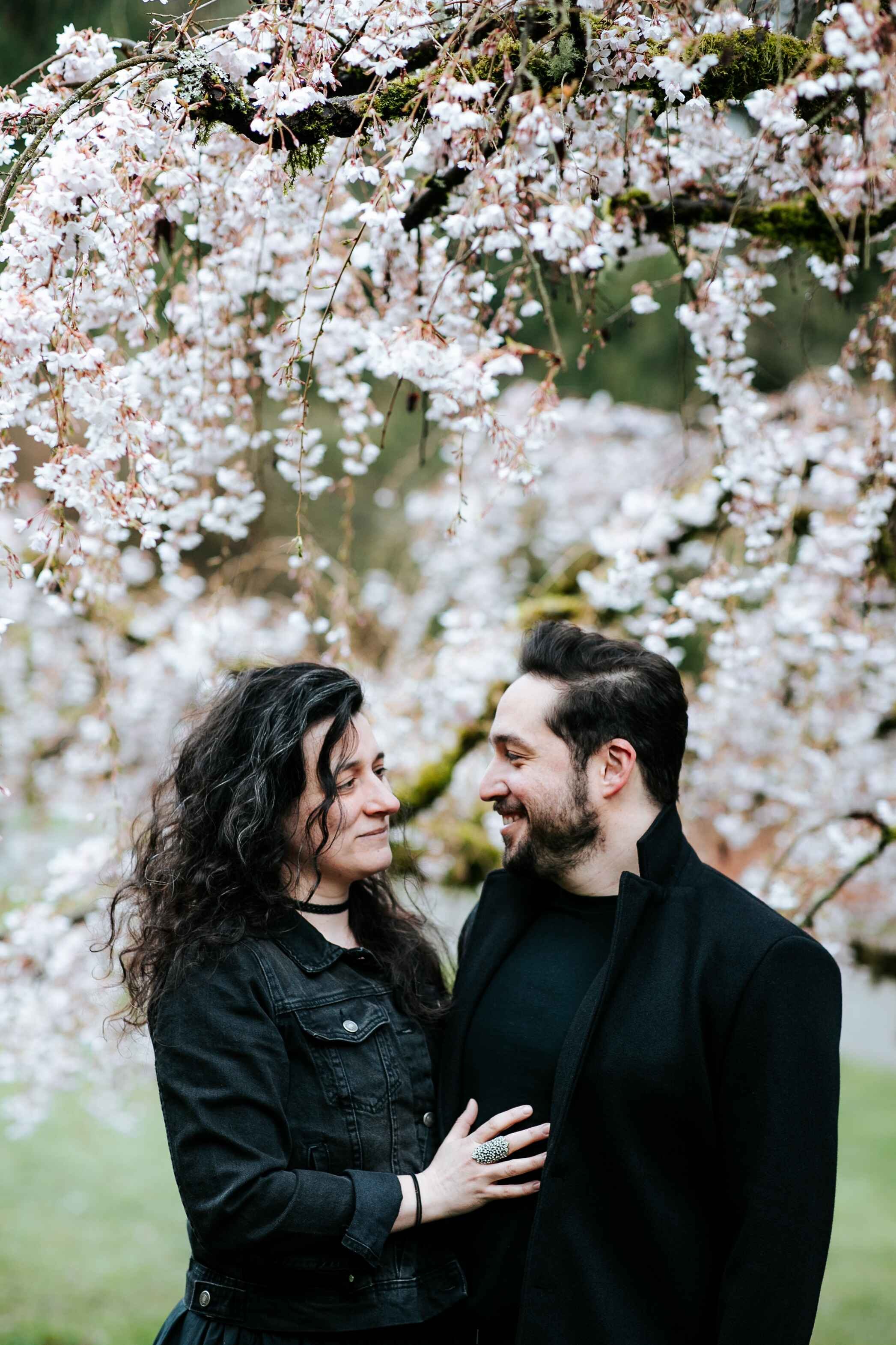 seattle spring mini sessions - cherry blossom