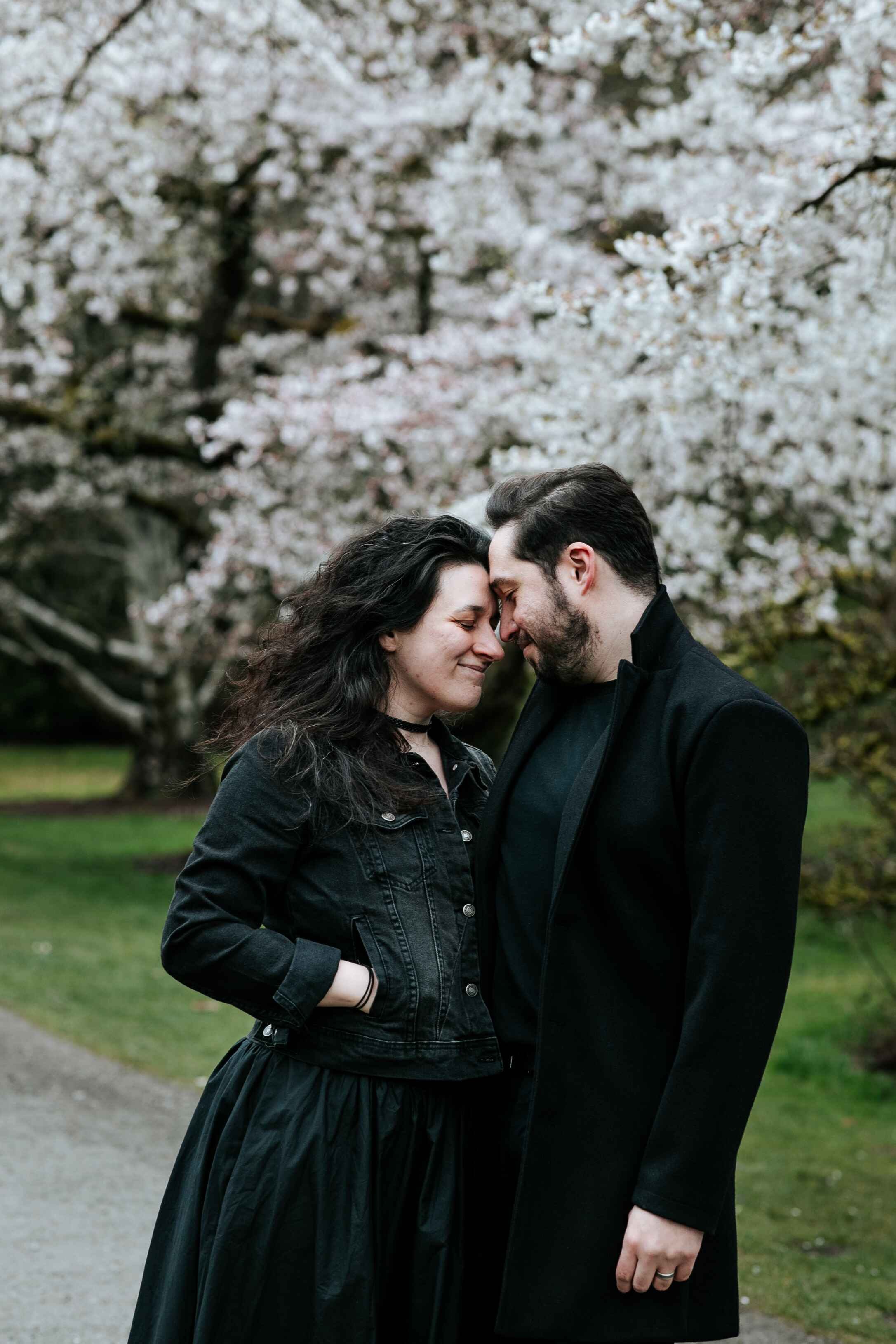 seattle spring mini sessions - cherry blossom