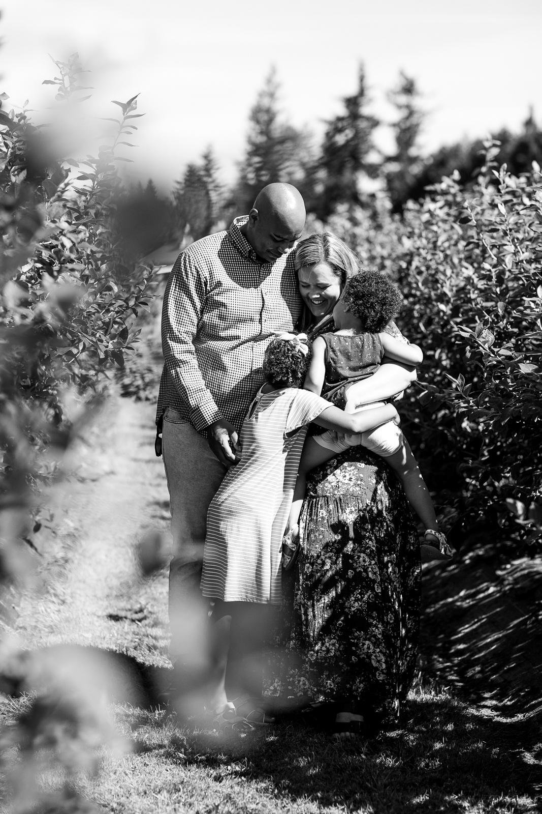 maple valley mini sessions - summer blueberry farm