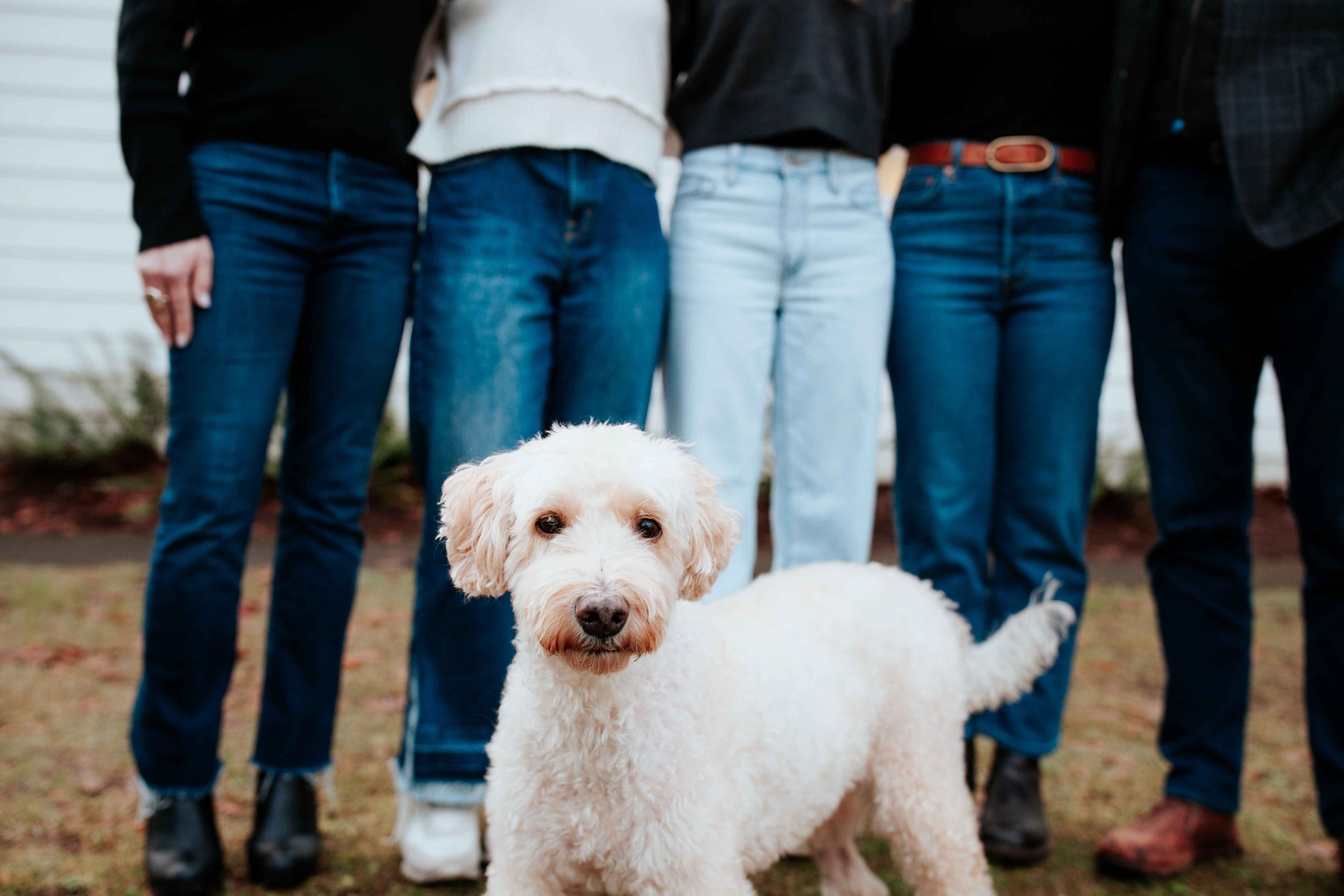 seattle lifestyle photographer - summer mini sessions (Copy)